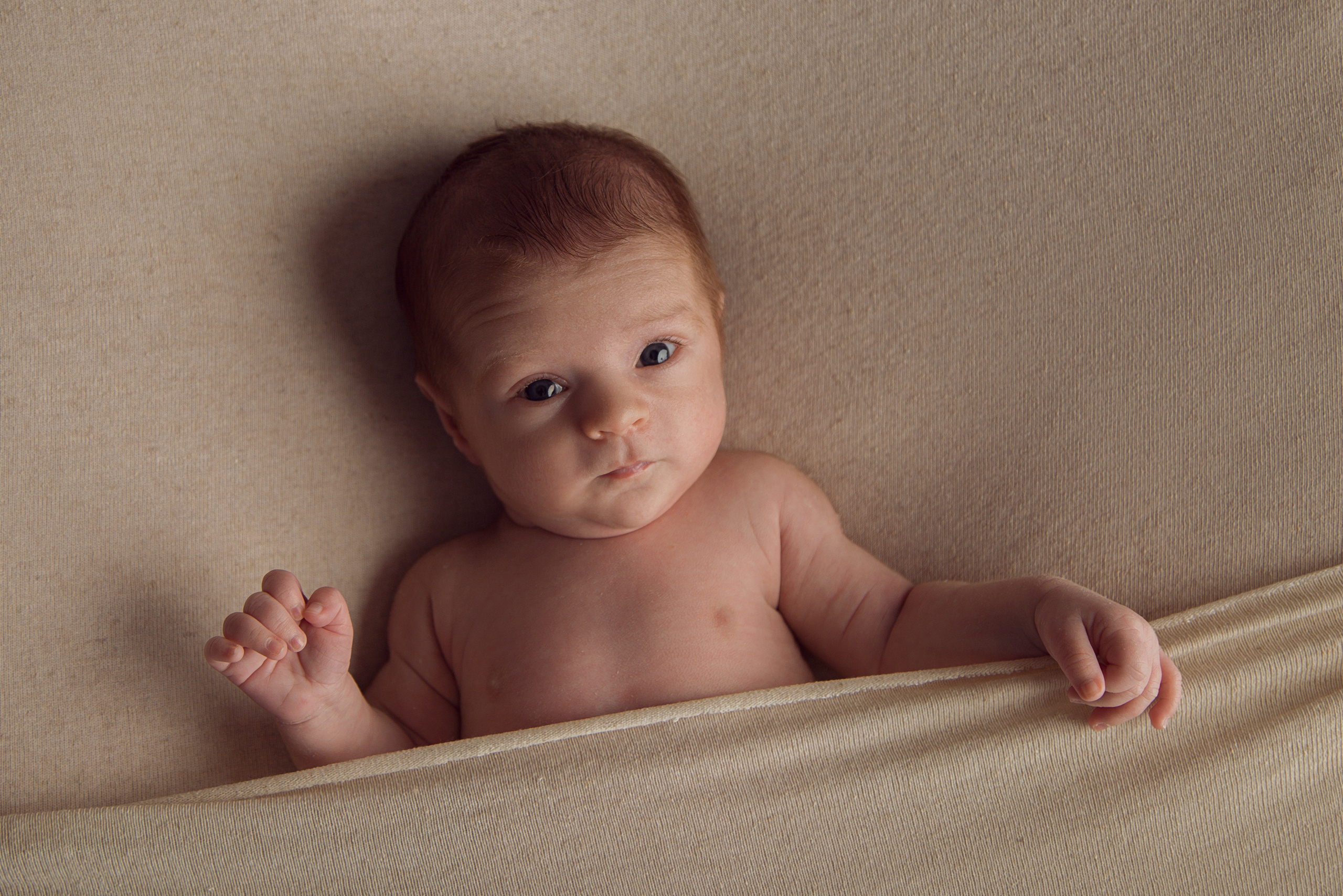 Даниил 22 дня новой жизни. Ирина Чайка. Профессиональный фотограф и наставник экспертов