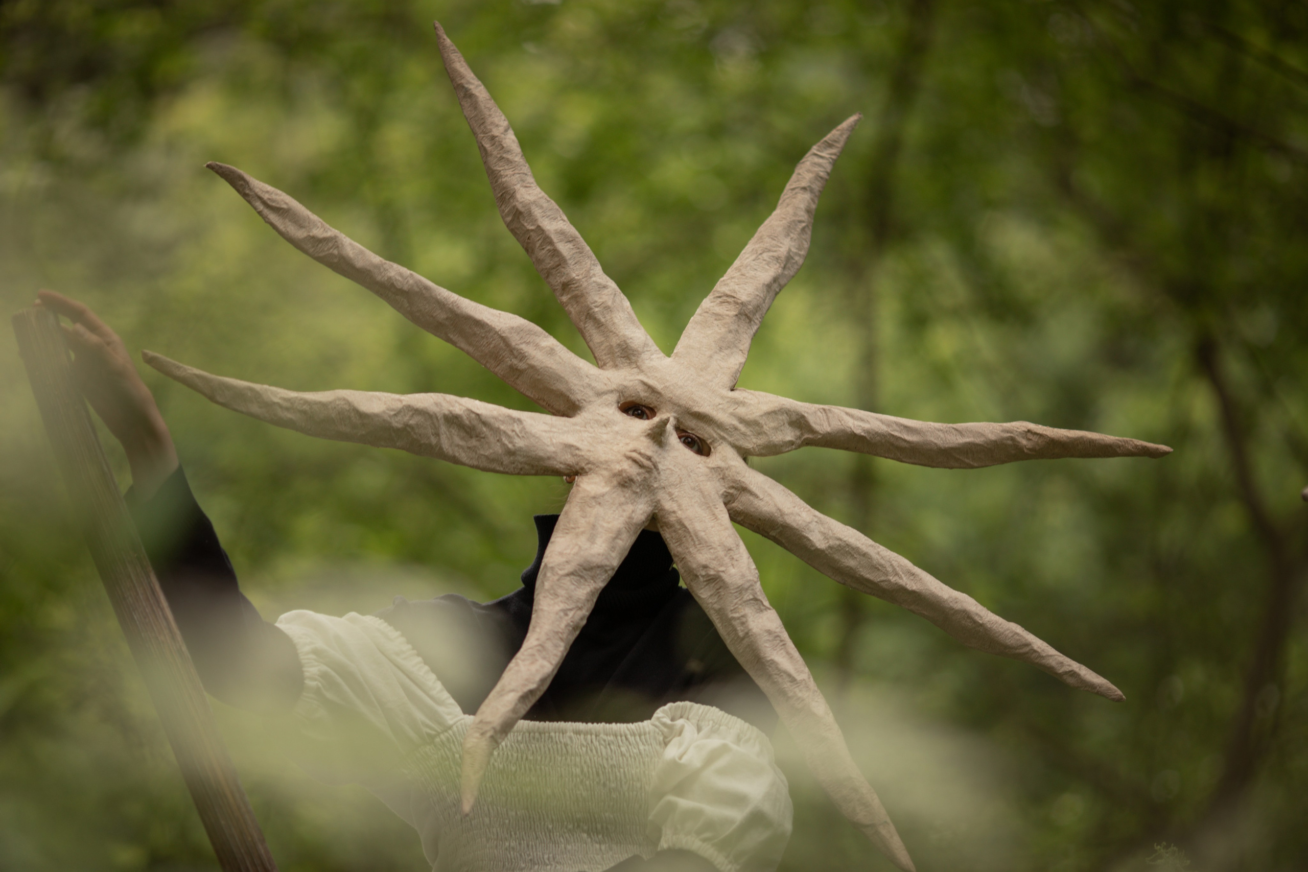 Летнее солнцестояние — когда свет замирает. Фотограф Анна Грошикова — авторская съёмка на рассвете и закате в Москве, Мытищах, Солнечногорске и Московской области