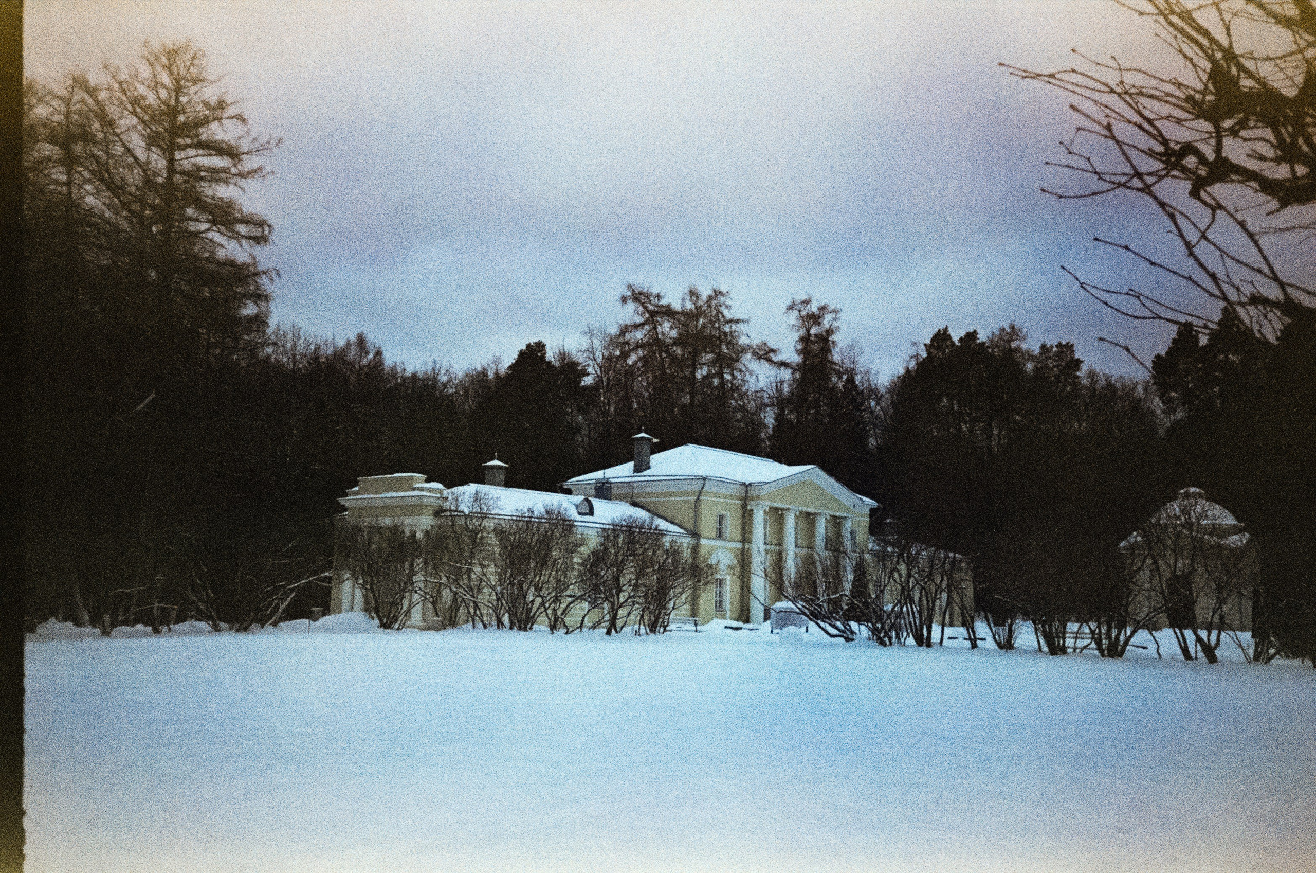 Fujicolor Superia 200 (просрочка) / Cosina CX-1 / 6 января 2025 года Усадьба Архангельское