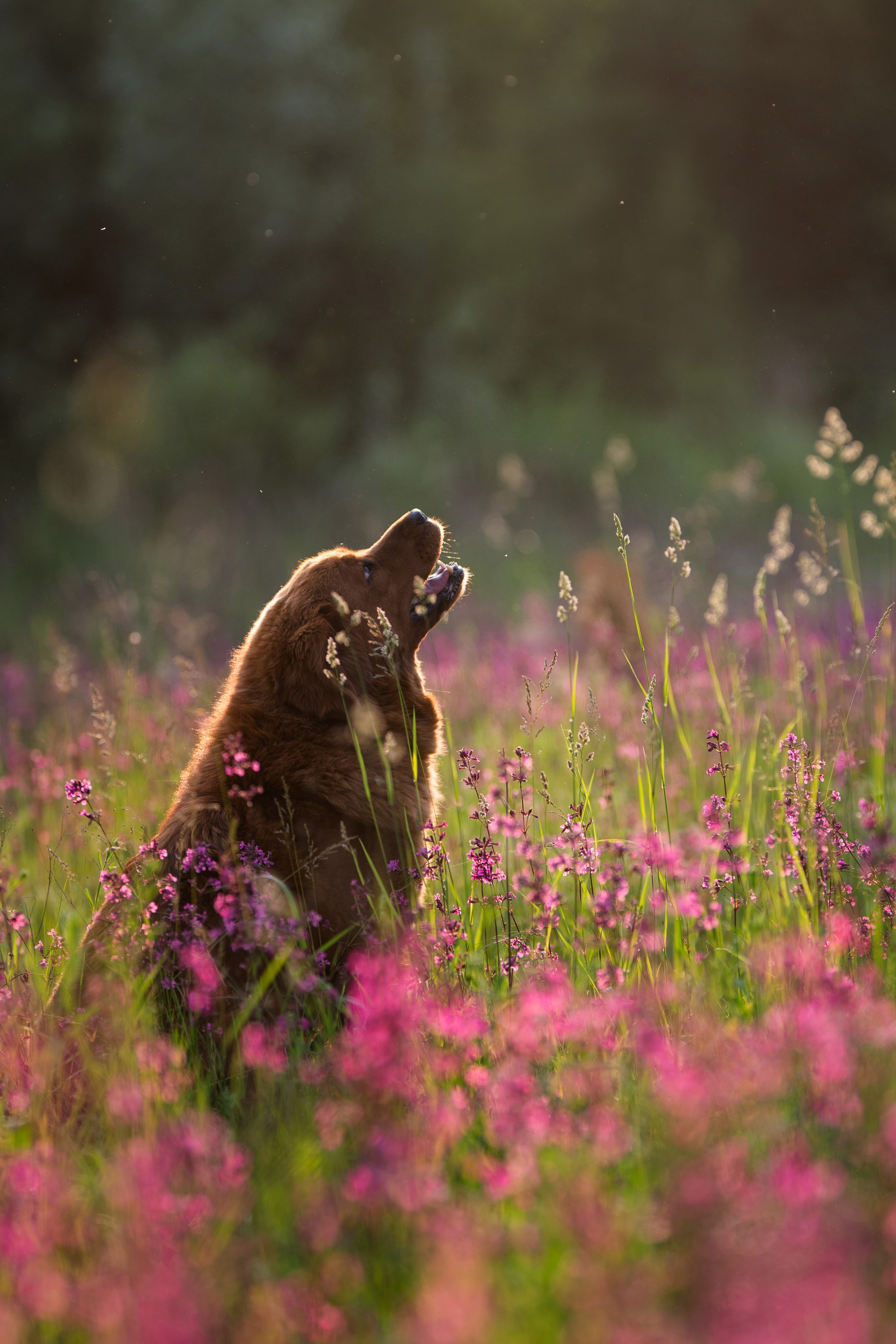 Мои Злата и Фред. -