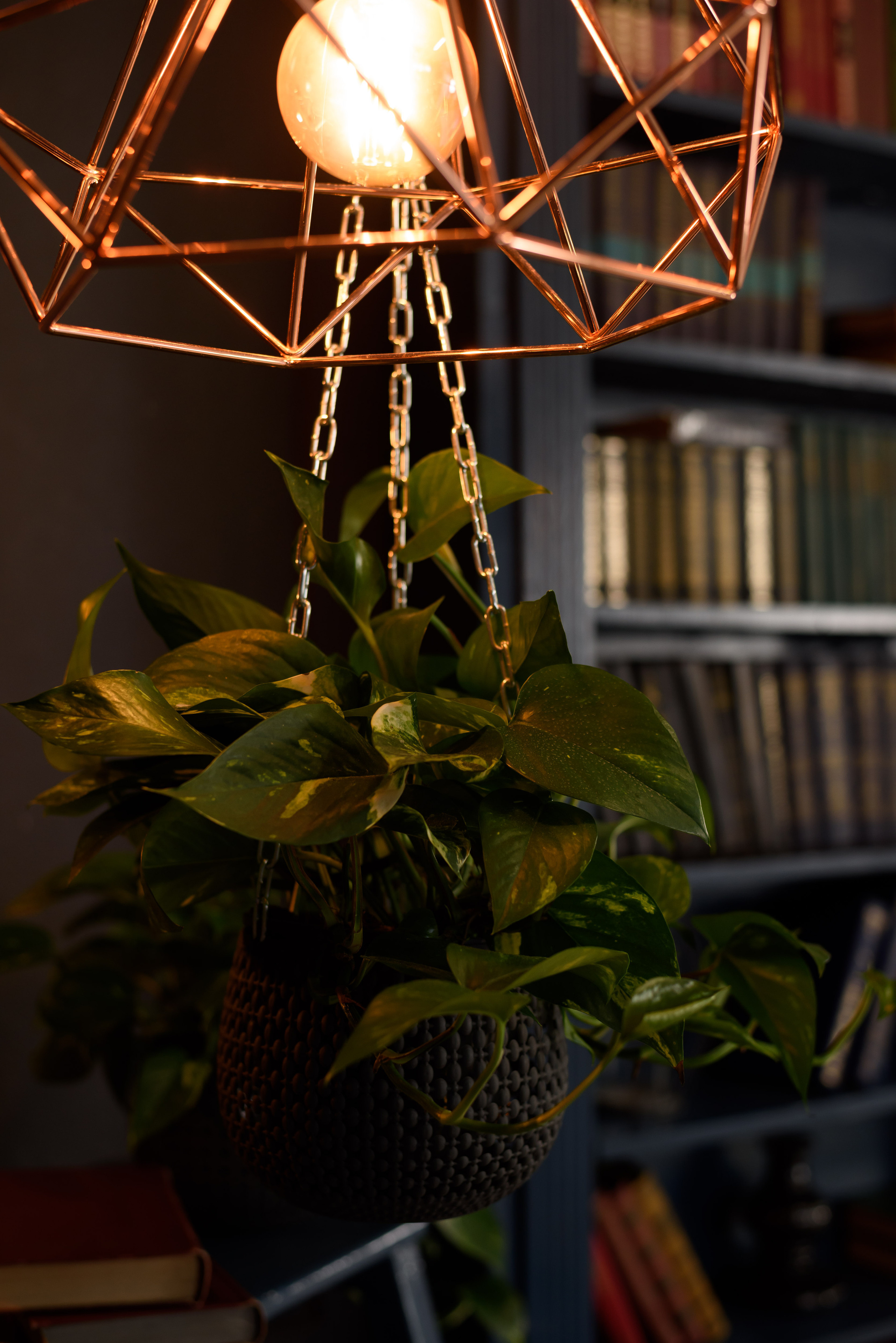 Интерьерная фотосъемка. Фотографии недвижимости. Мария Прищеп. Профессиональный фотограф в Краснодаре