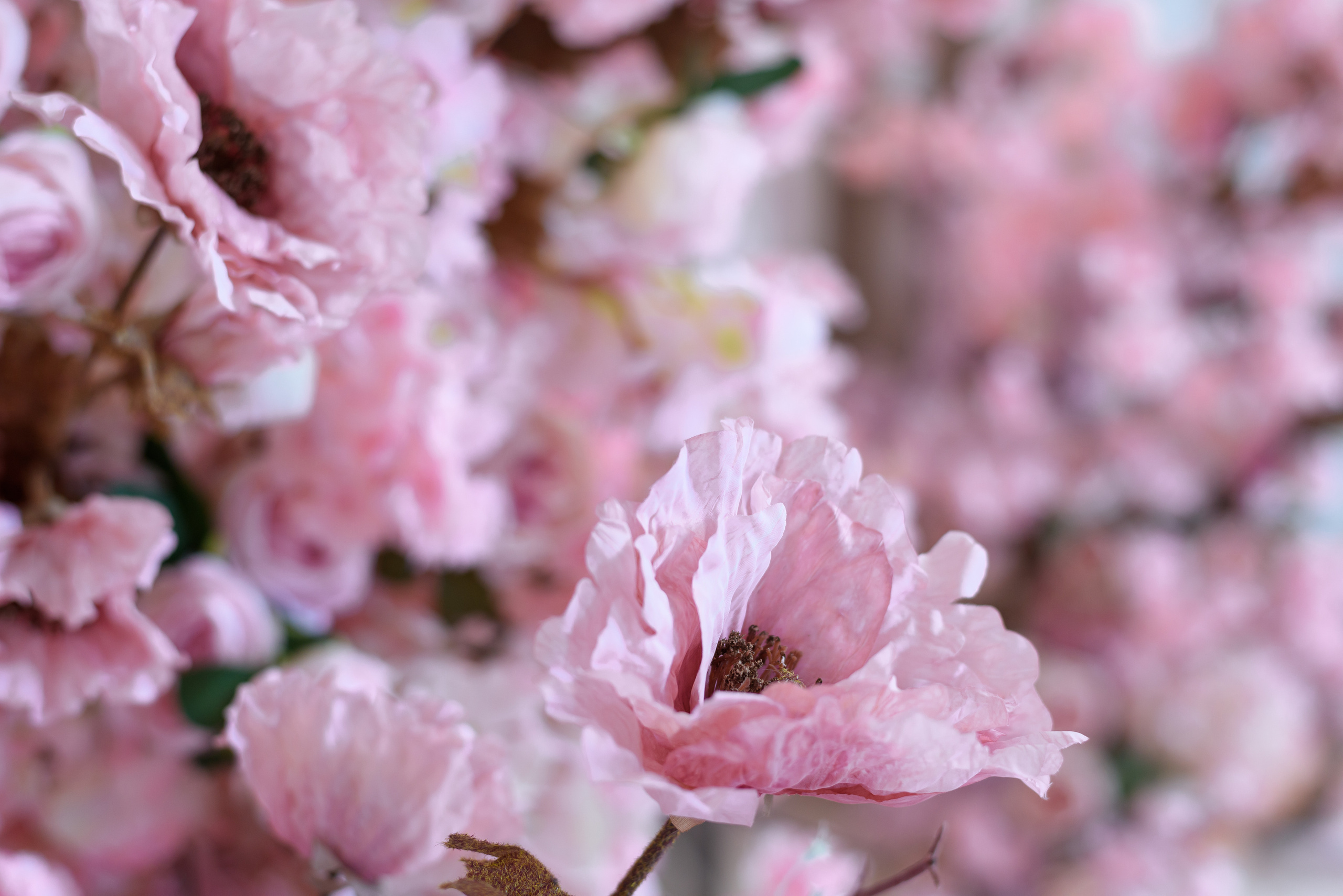 Интерьерная фотосъемка. Фотографии недвижимости. Мария Прищеп. Профессиональный фотограф в Краснодаре