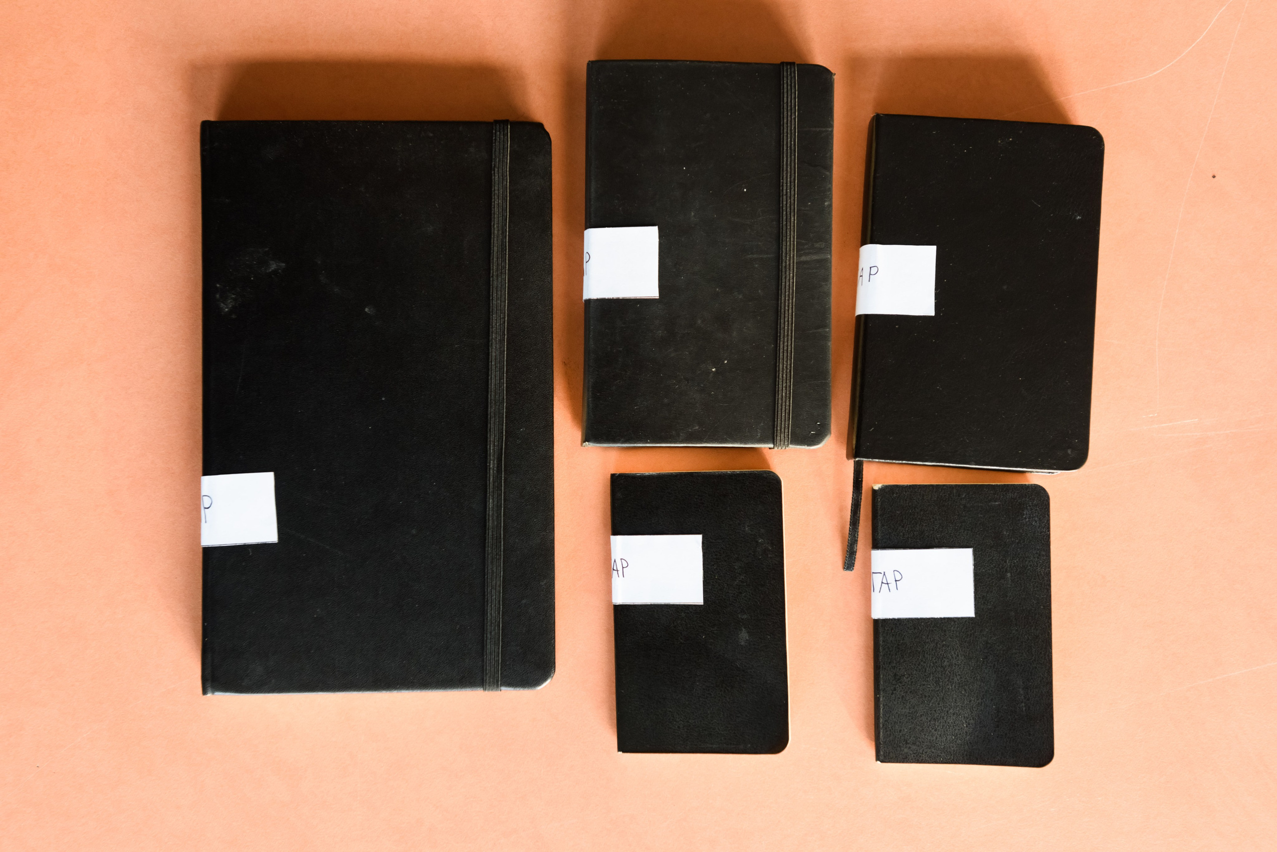 PSYCHO. Ilmira Bolotyan — Interdisciplinary Artist and Curator