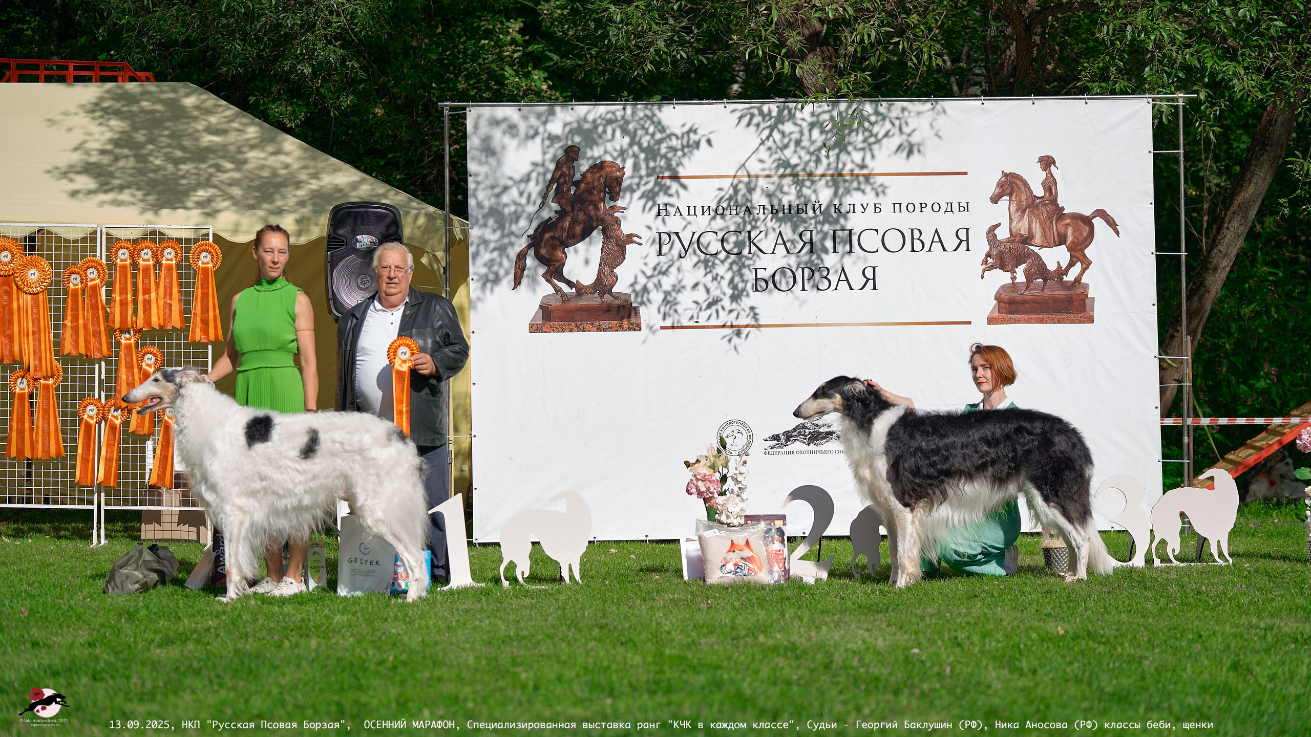 ОСЕННИЙ МАРАФОН | Специализированная выставка породы Русская Псовая Борзая ранг "КЧК в каждом классе"