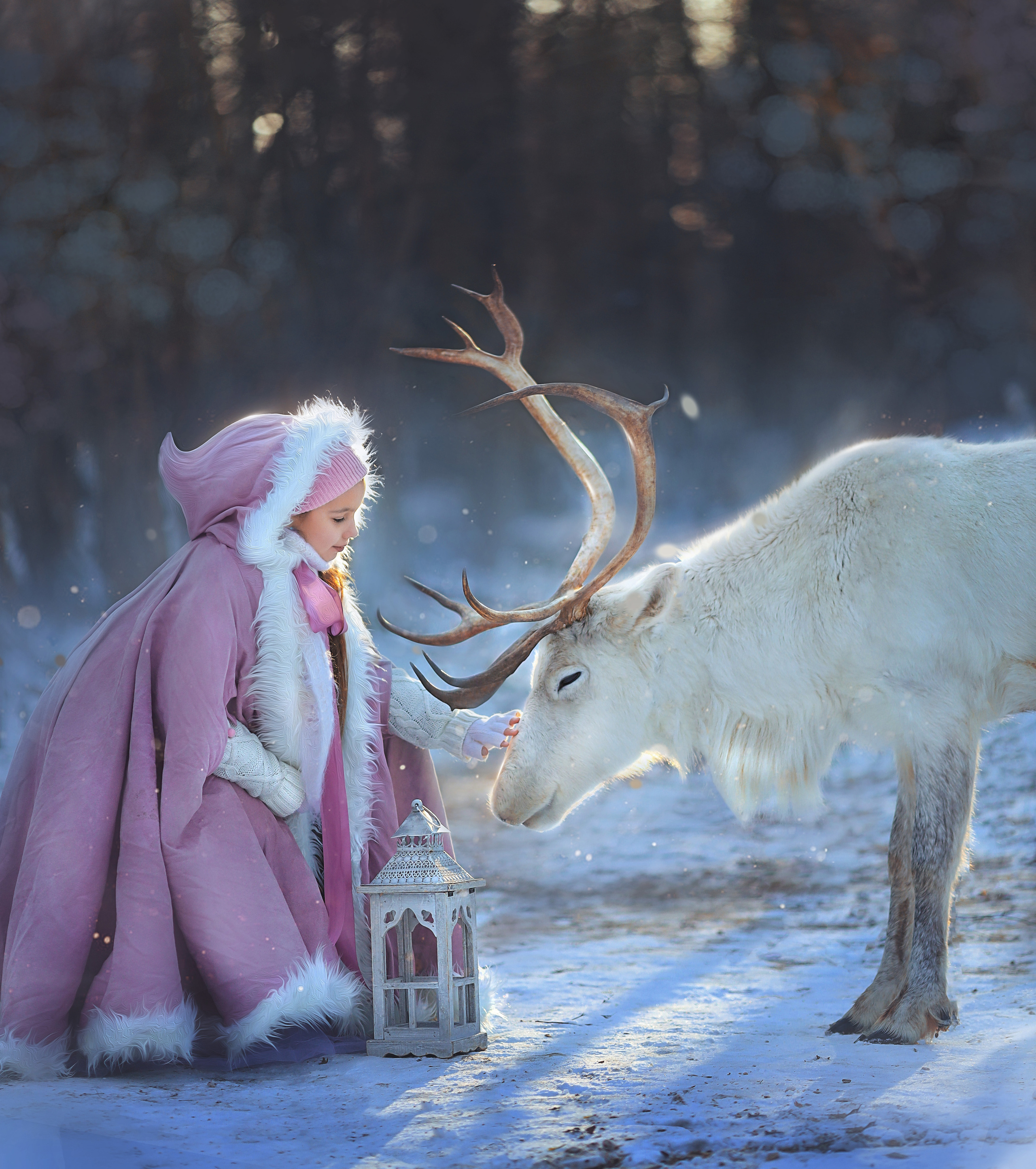 Фотосессия с оленями. Фотограф Лия Милк | Москва, Подмосковье