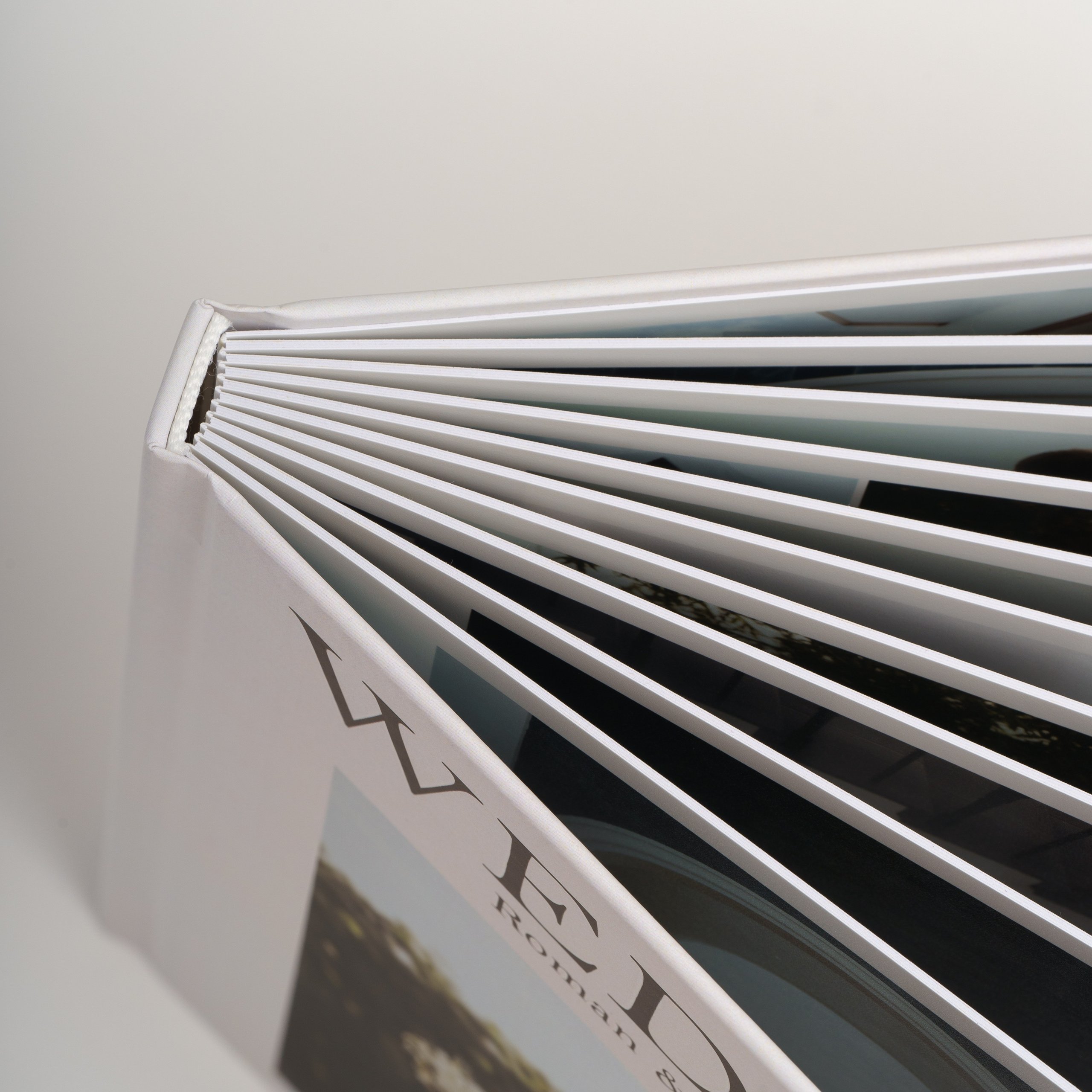 Детали свадебной книги