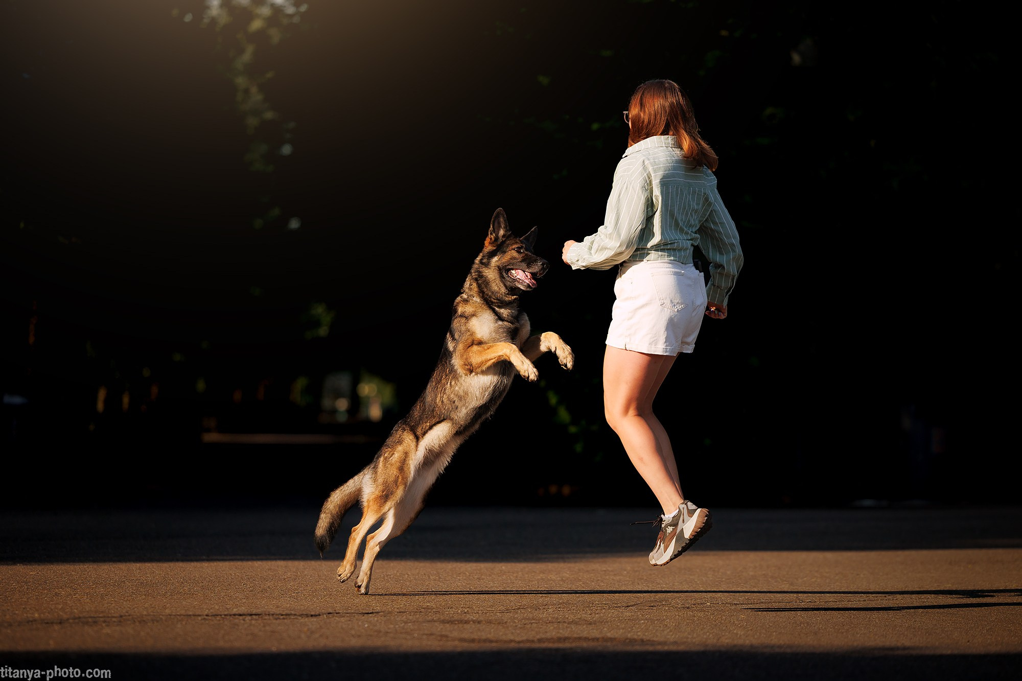 Фотограф собак, фотограф-анималист Аня Титова (Titanya). Москва