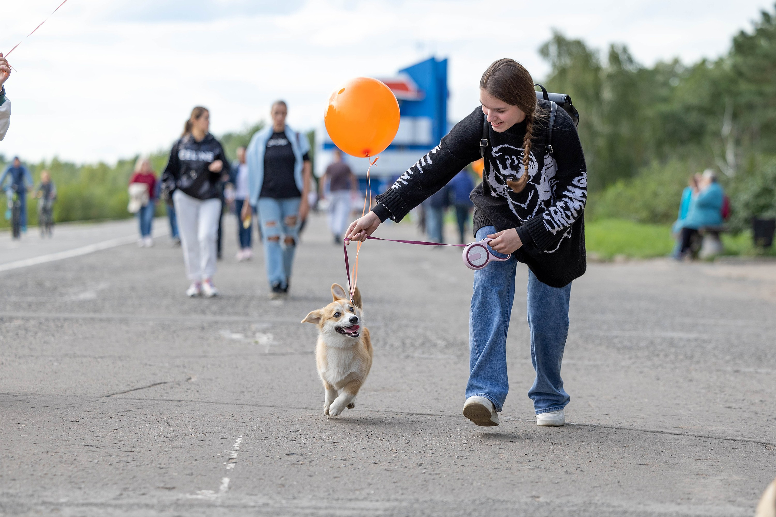 Корги-туса. Фотограф-анималист в Омске Екатерина Маричева