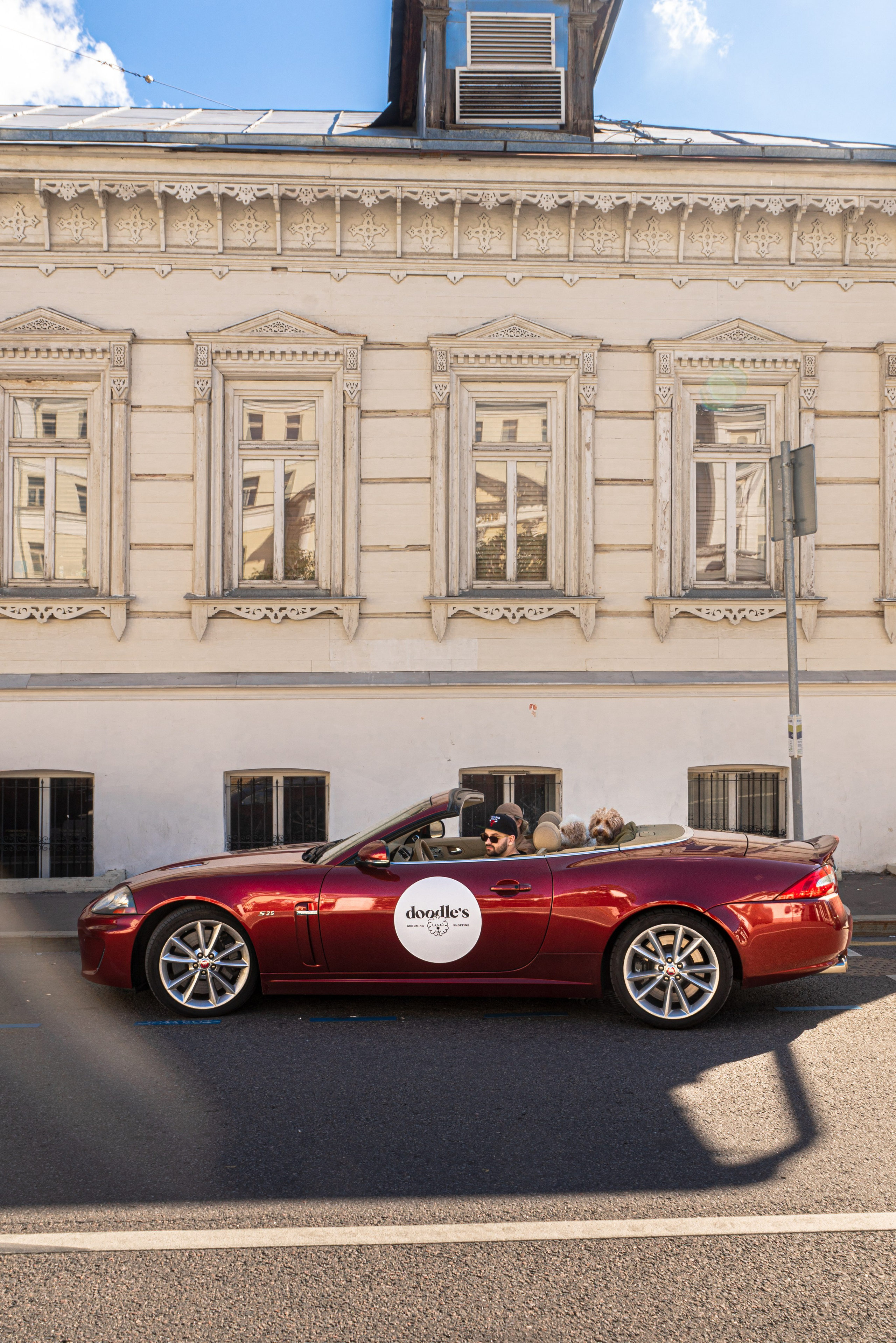 Фотосъемка груминг салона , съемка собак в кабриолете. Жуков Илья свадебный фотограф в Москве