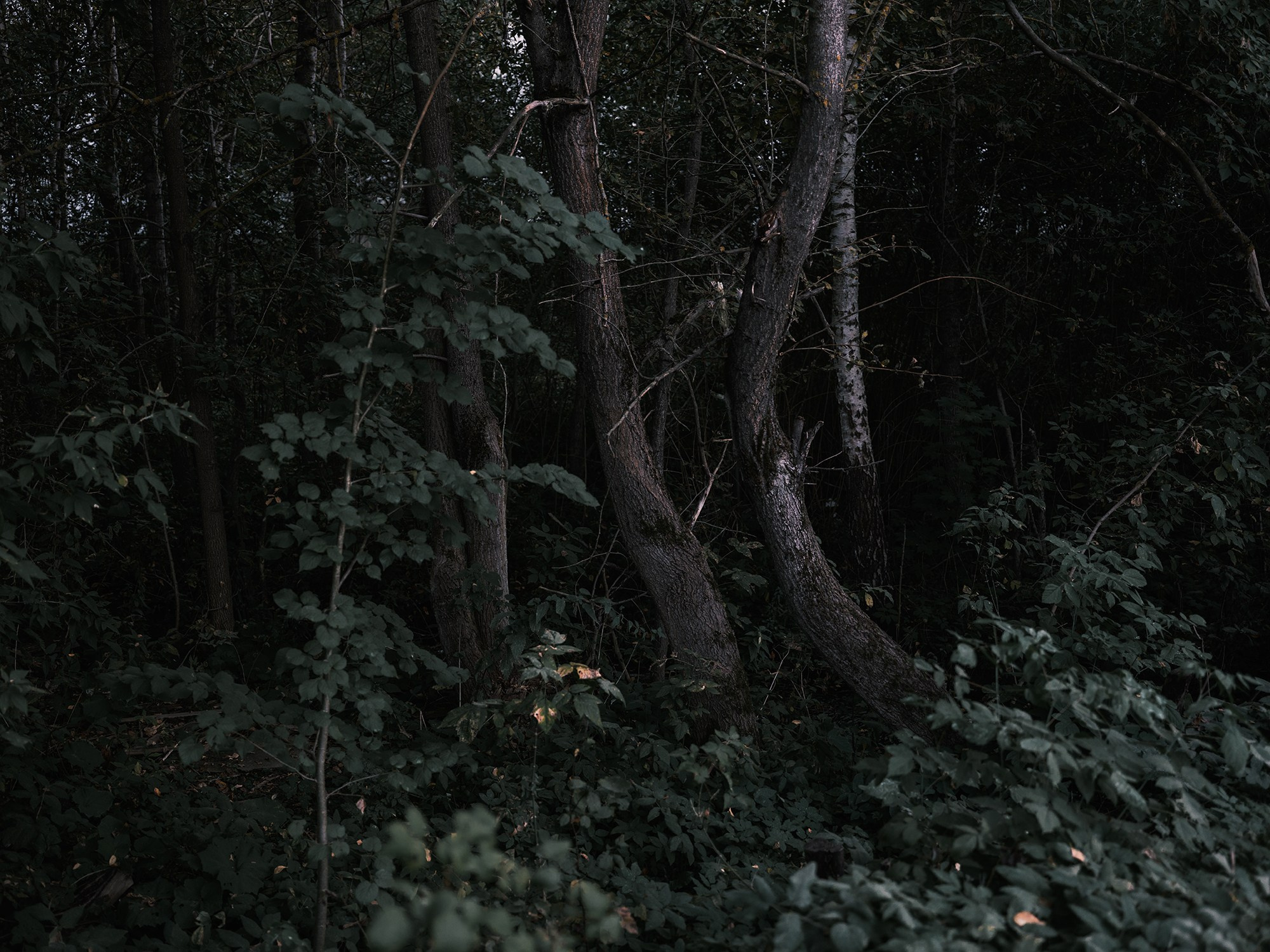 Russia. Documentary and art photographer Alexey Terentyev