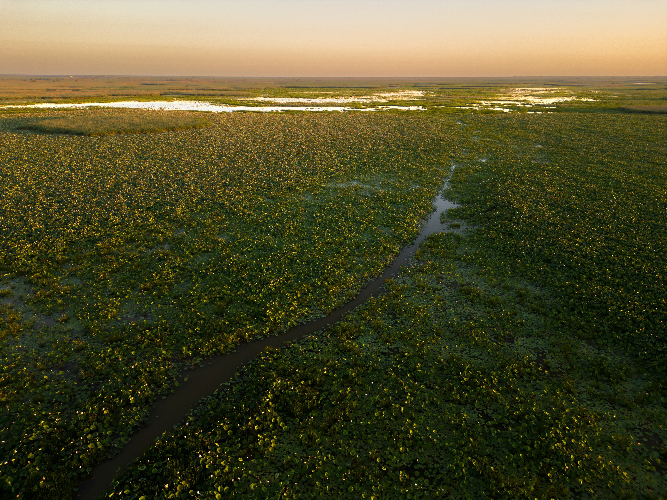 Барханы и лотосы. Июль–Август