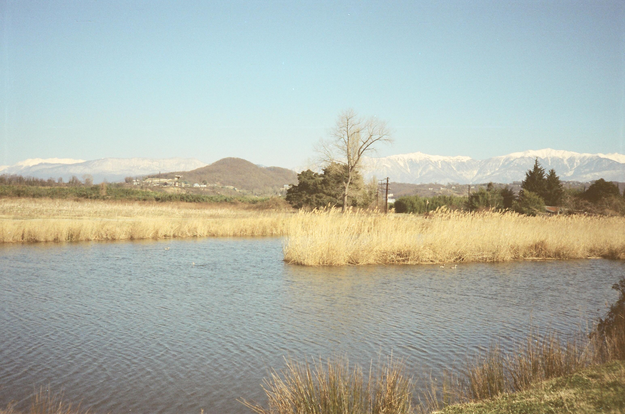 Семён Симонов. Курортное дело