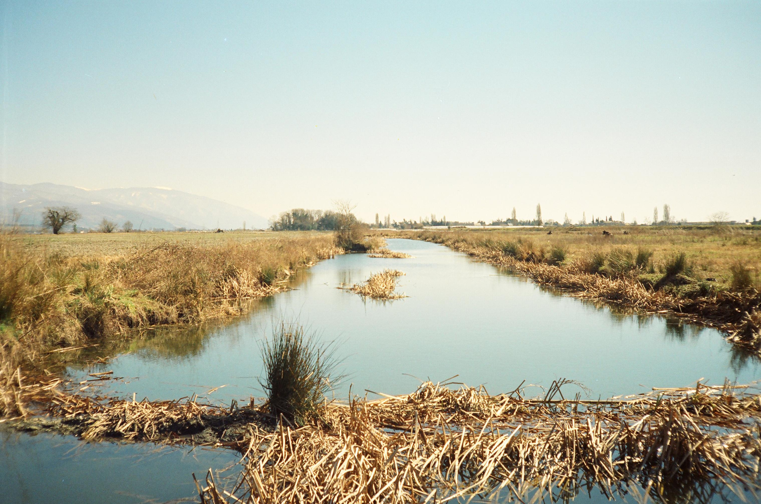 Семён Симонов. Курортное дело