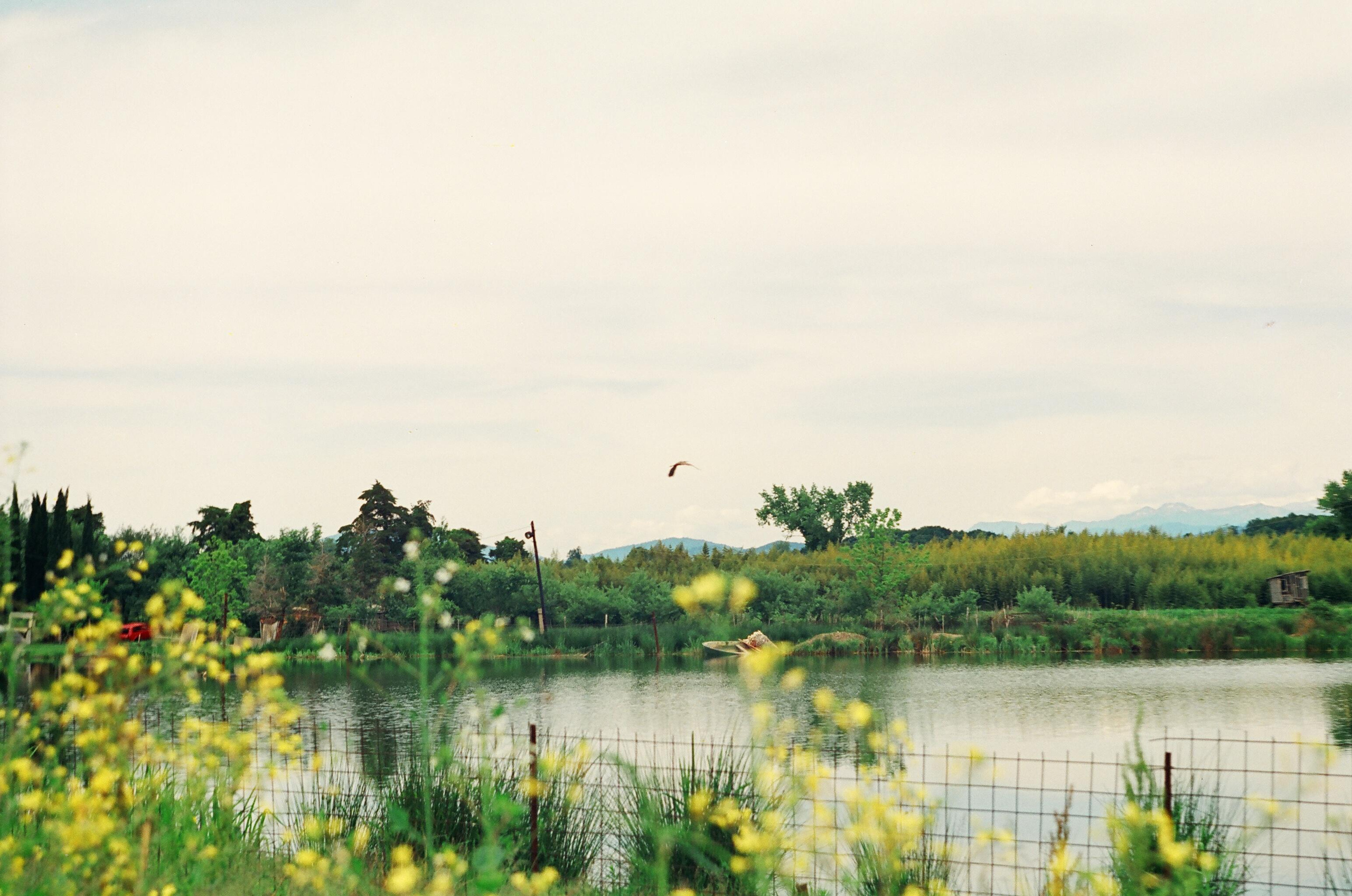 Семён Симонов. Курортное дело