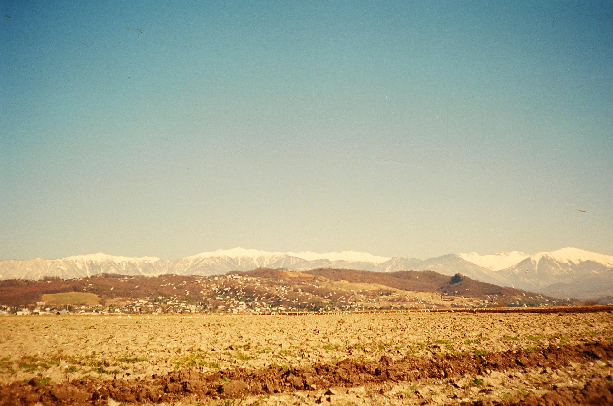 Семён Симонов. Курортное дело