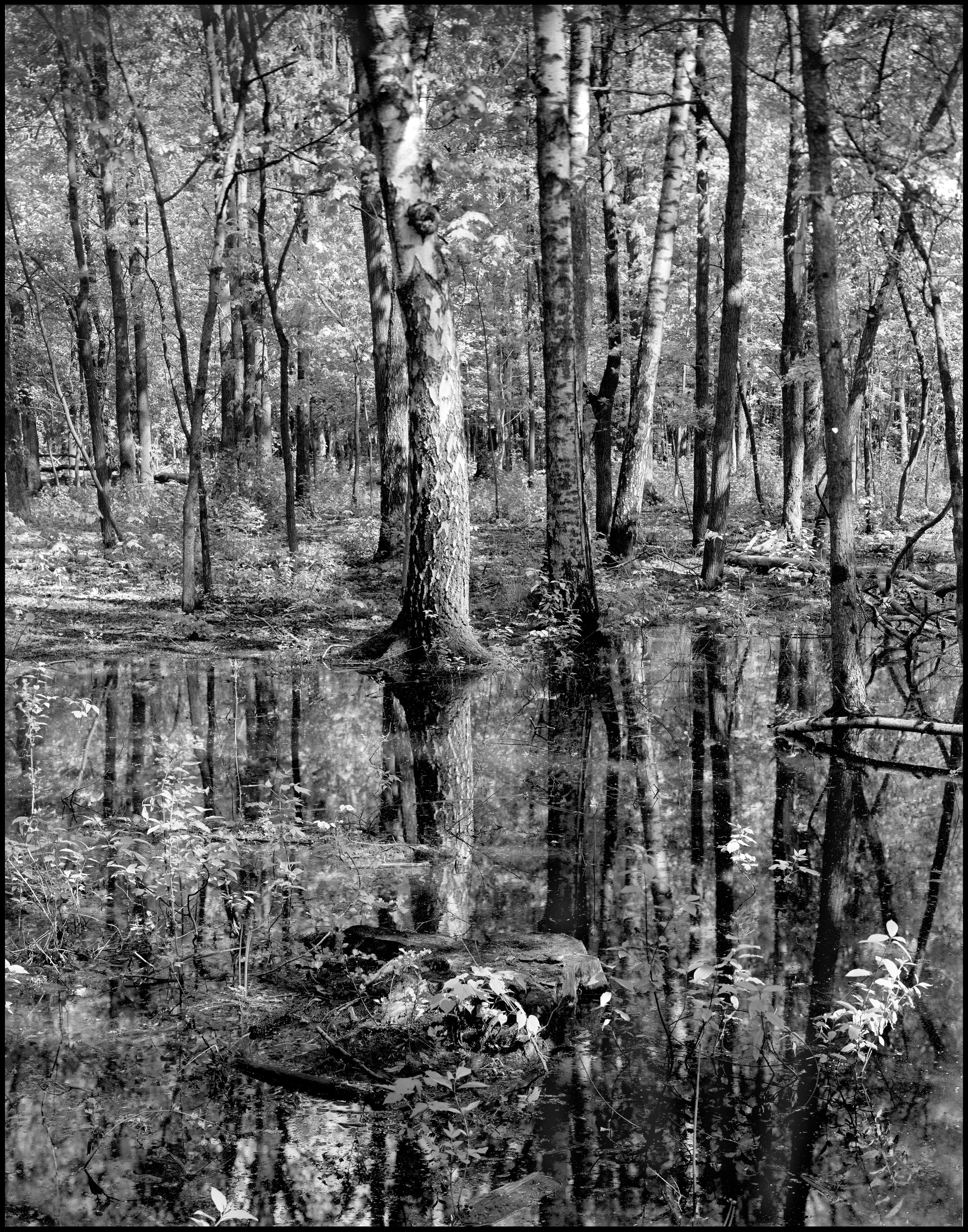 Landscape. Sergey Kondriuk art-photographer | artist
