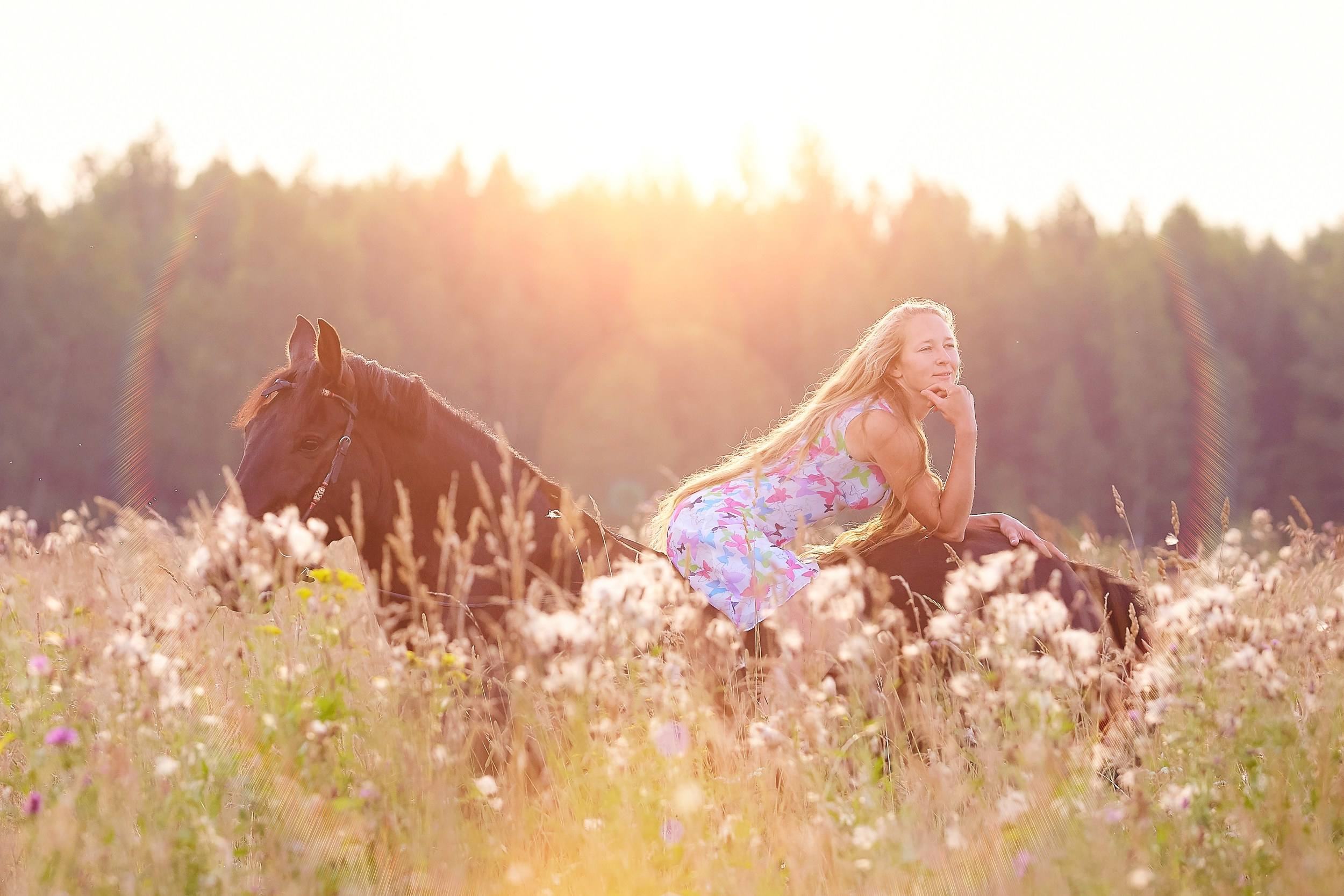 Фотосессия с лошадьми Фотограф Михаил Семенов, г. Ярославль