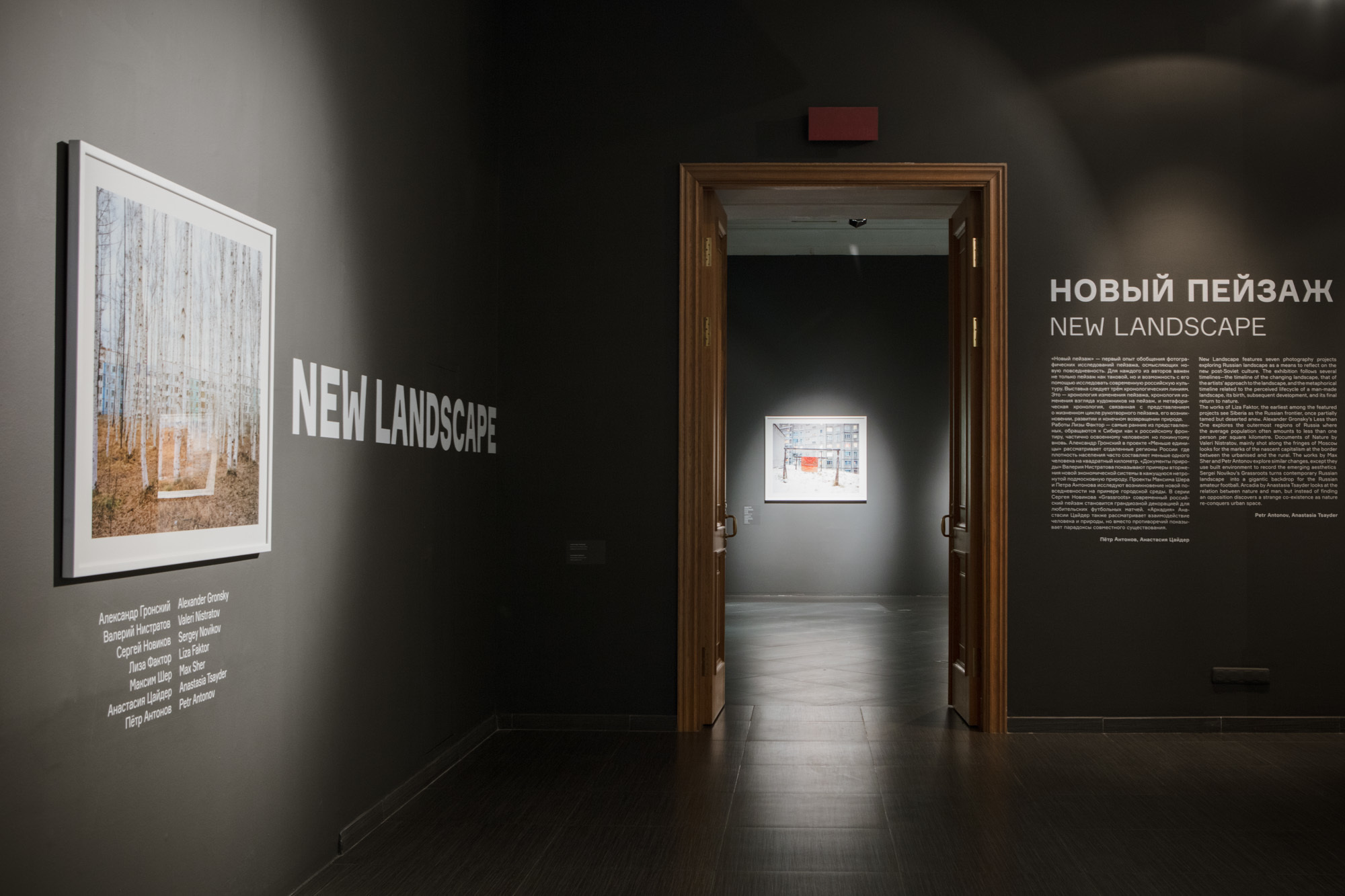 New Landscape. Anastasia Tsayder