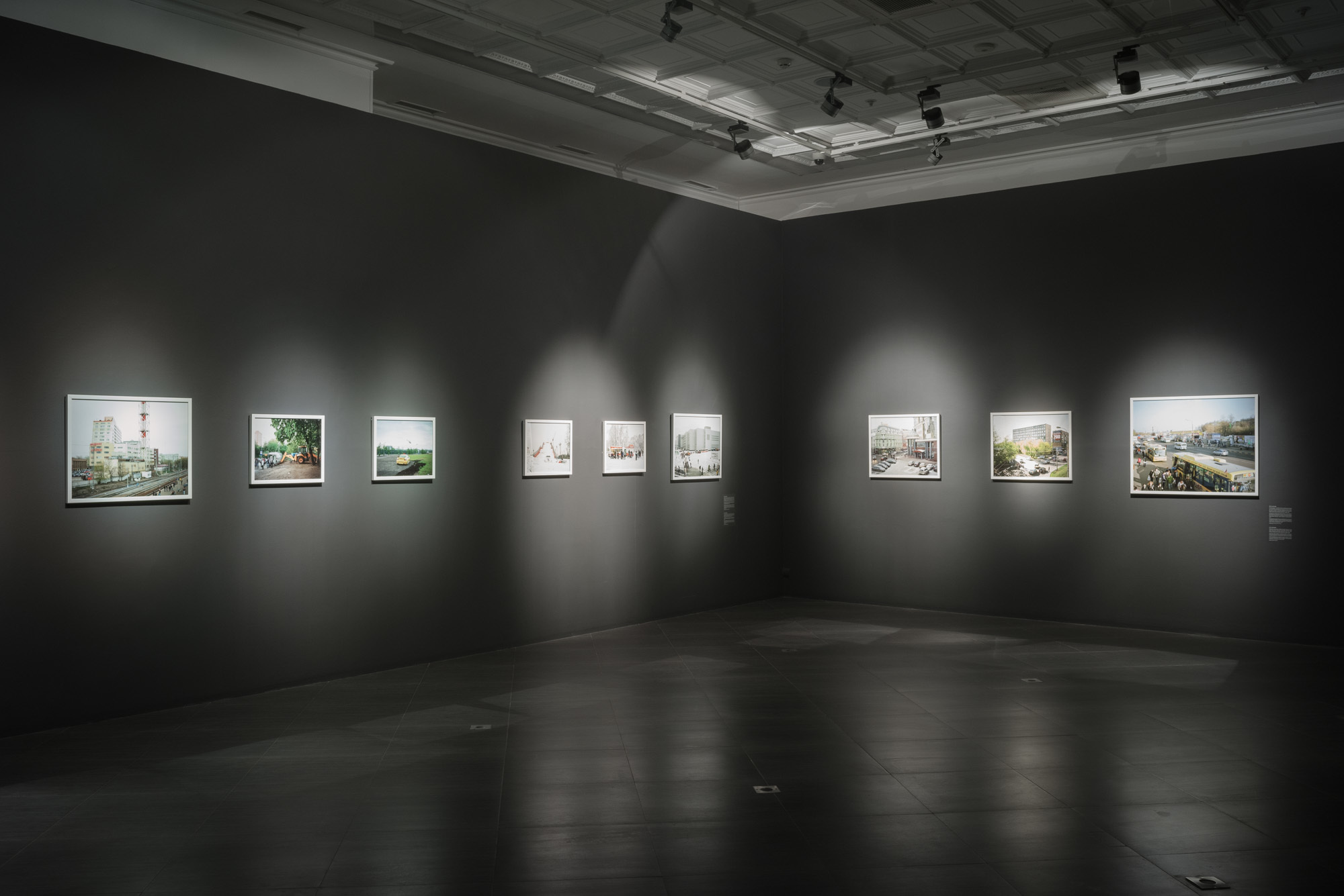 New Landscape. Anastasia Tsayder