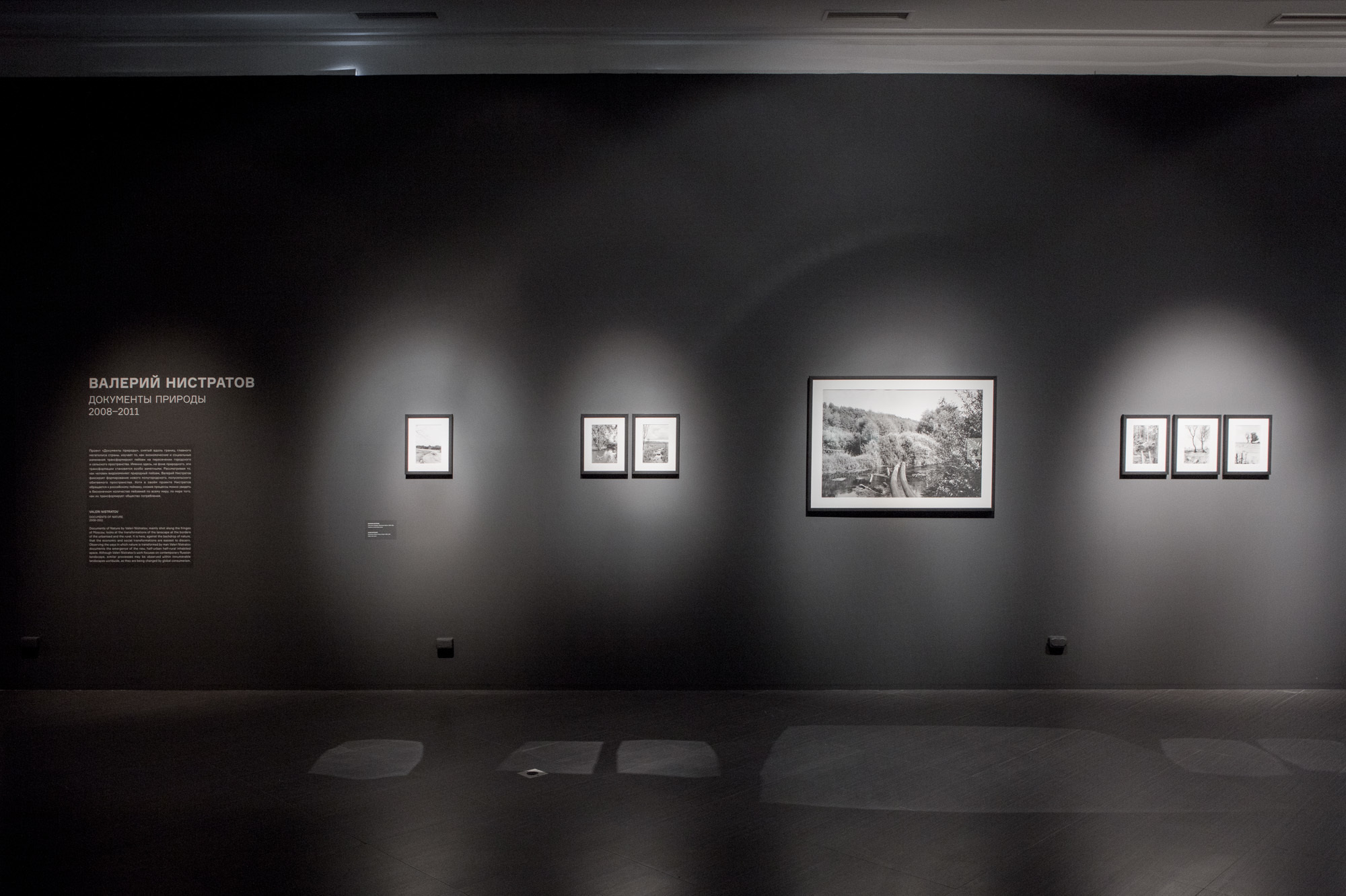 New Landscape. Anastasia Tsayder