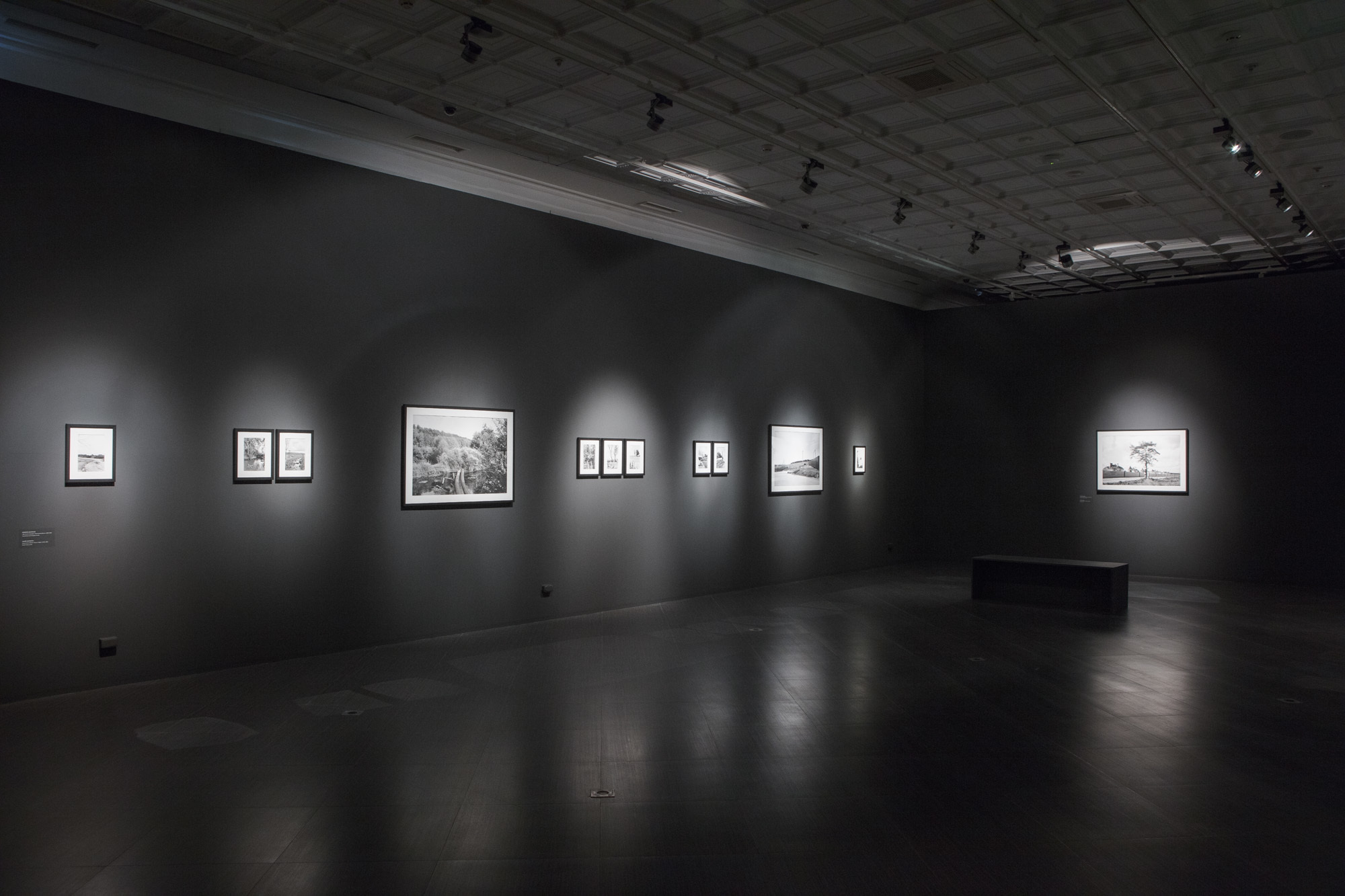 New Landscape. Anastasia Tsayder