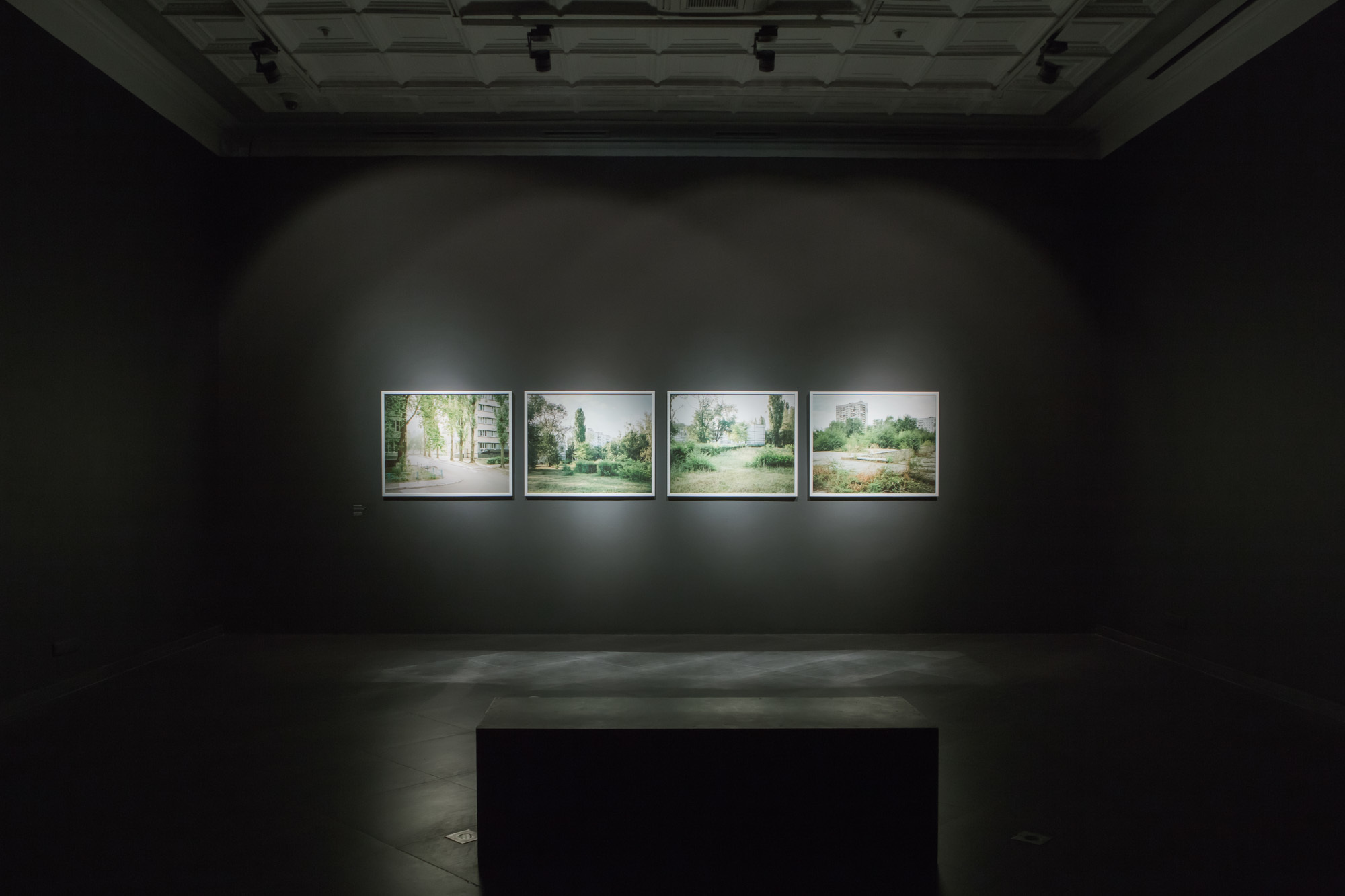 New Landscape. Anastasia Tsayder