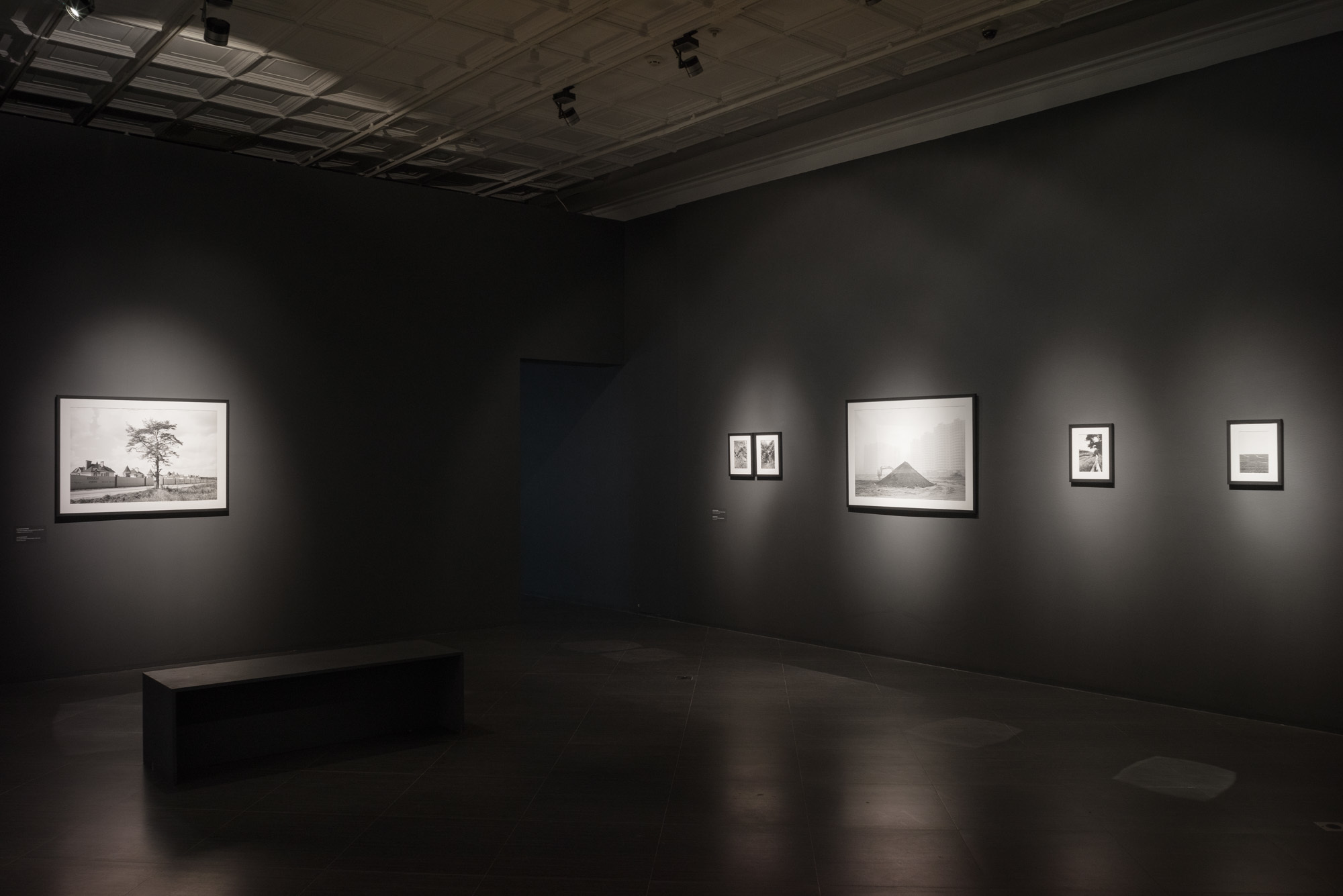 New Landscape. Anastasia Tsayder