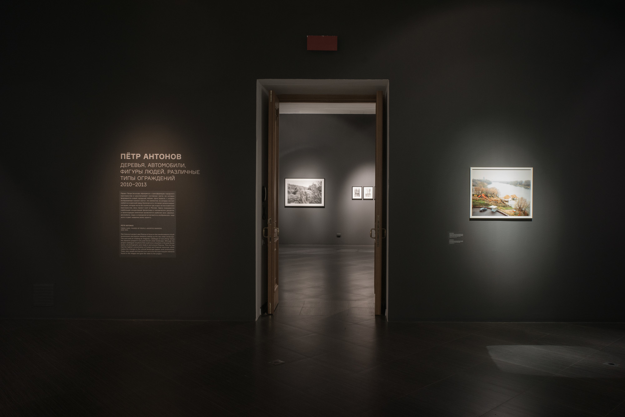 New Landscape. Anastasia Tsayder