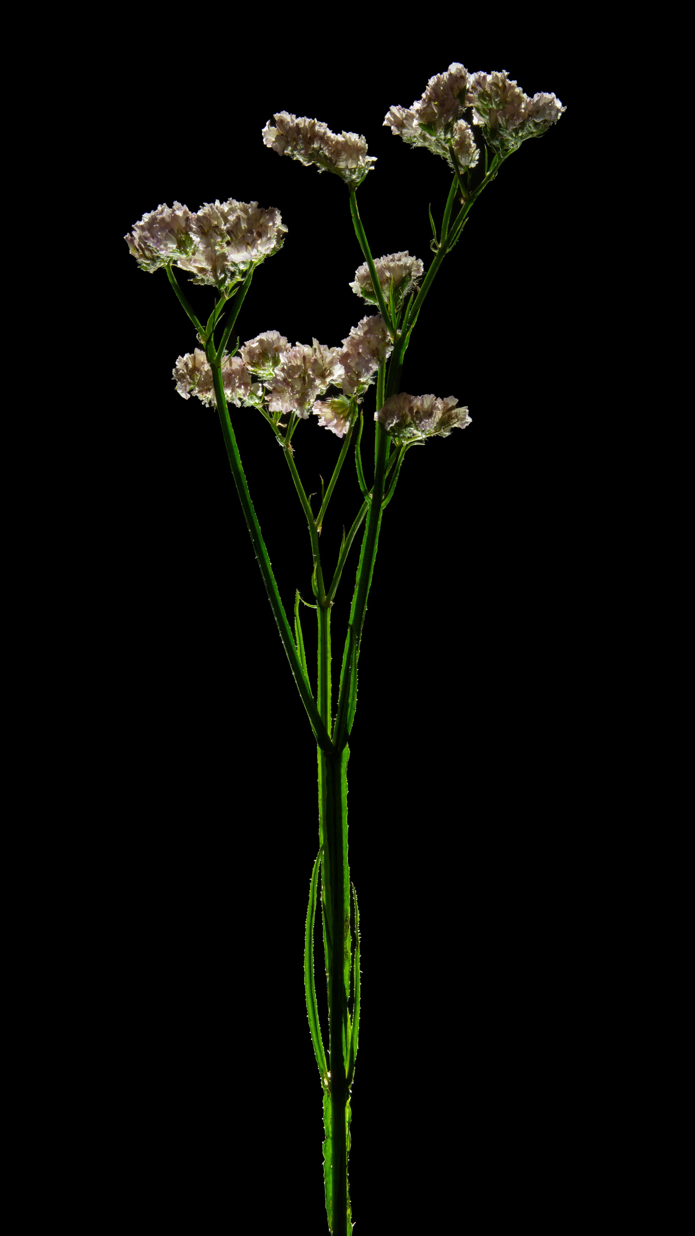 Проекты. Sakunov Photo