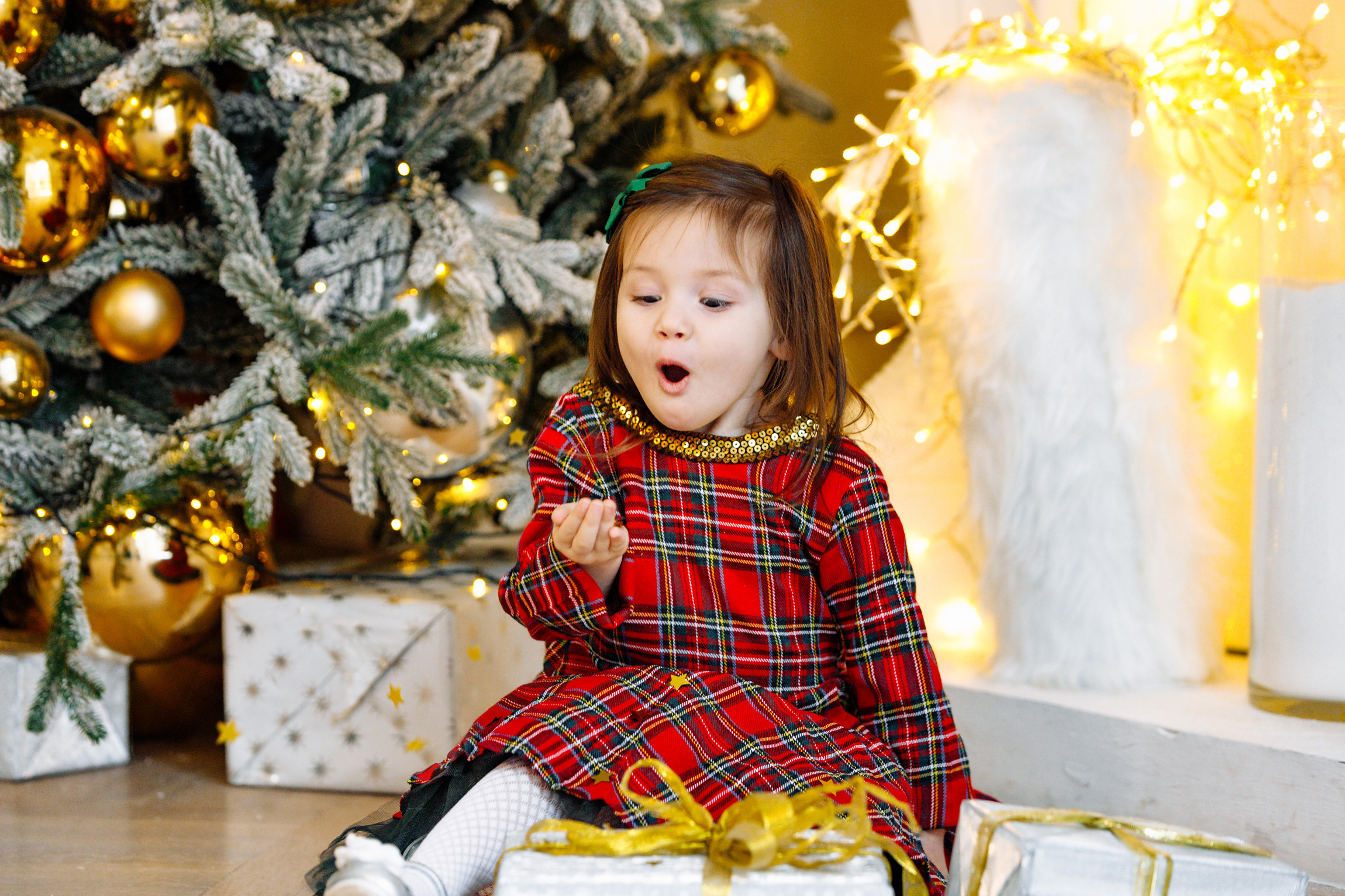 Новогодняя фотосессия. Фотосессия в студии
