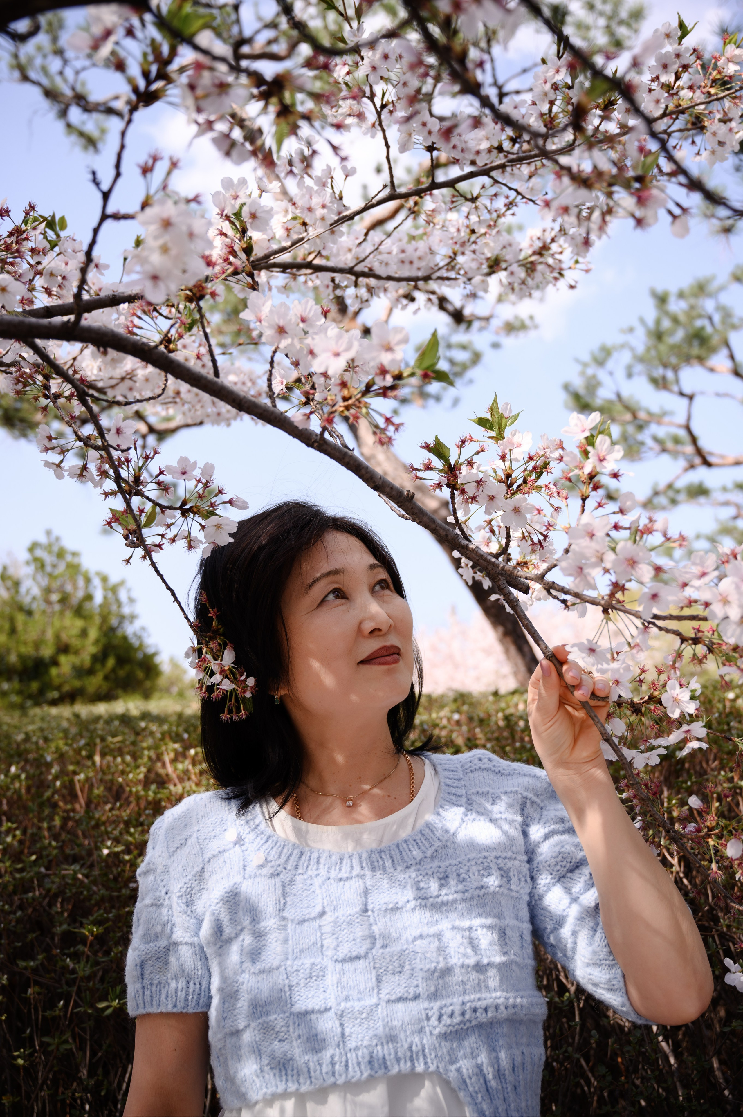 Woman portrait under sakura trees at Busan Citizens Park