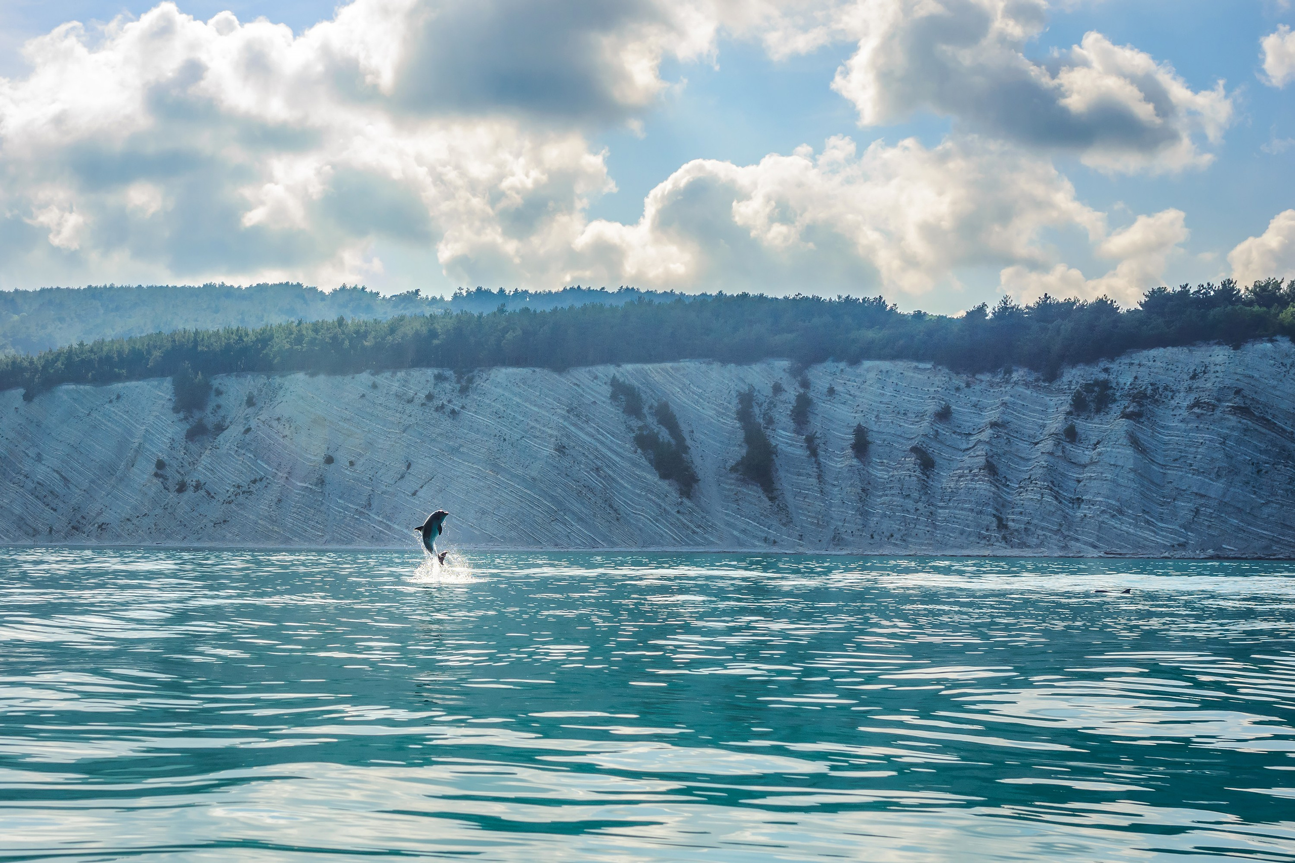 Краснодарский край, локация, фотосессия, САП, САП-прогулки, фото на САП-е, море, берег, дельфин, пляж