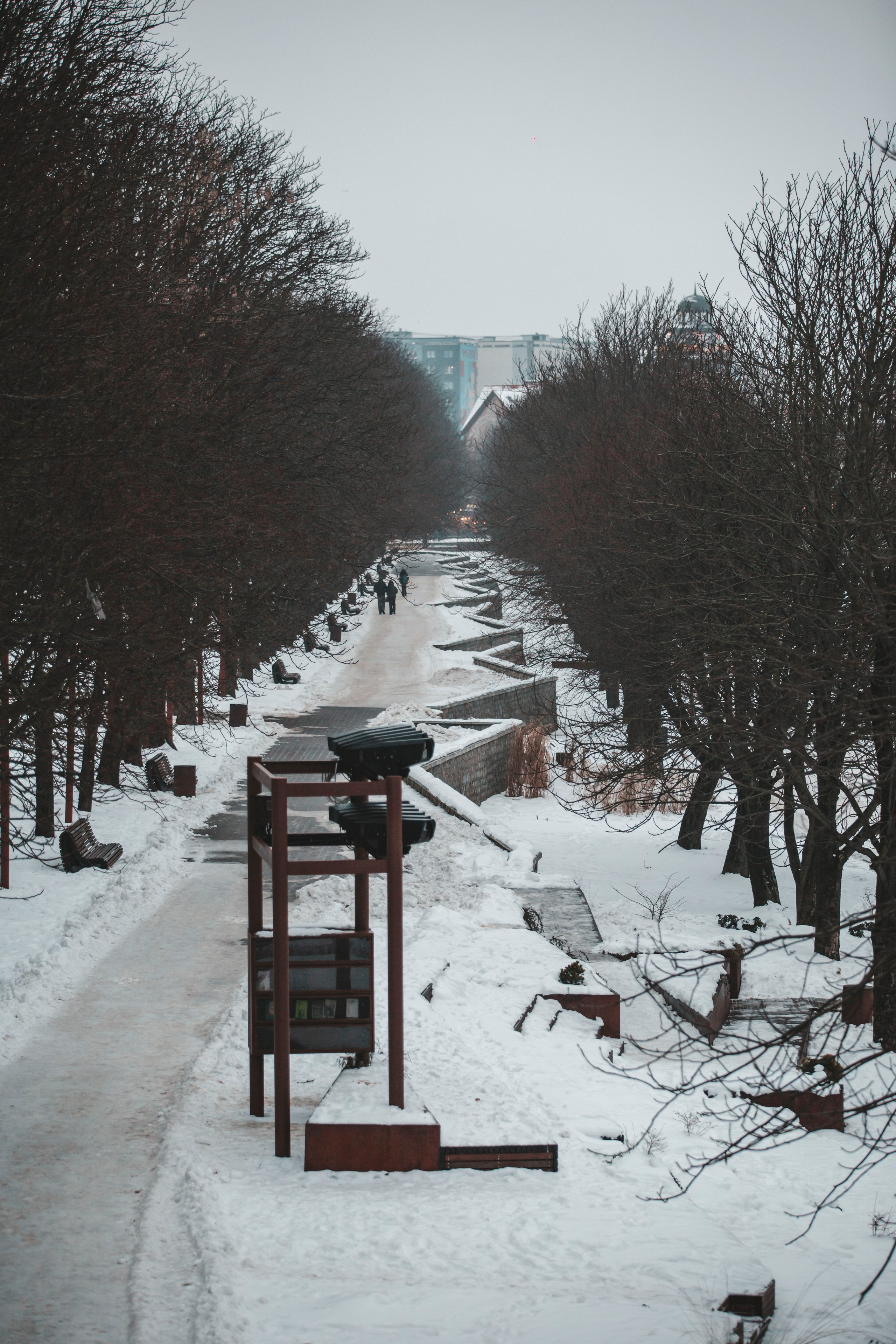 Калининград | январь 2026. Фотограф в Москве | Диана Киселева