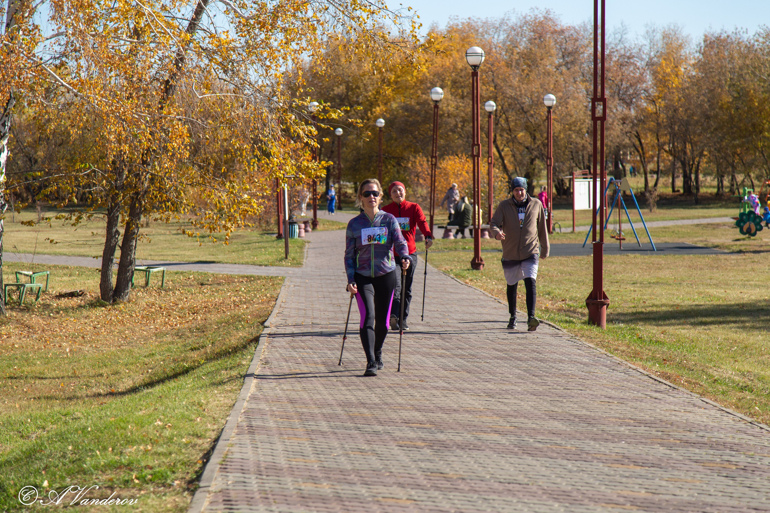 День ходьбы 2024. Фотограф Омск | Александр Вандеров