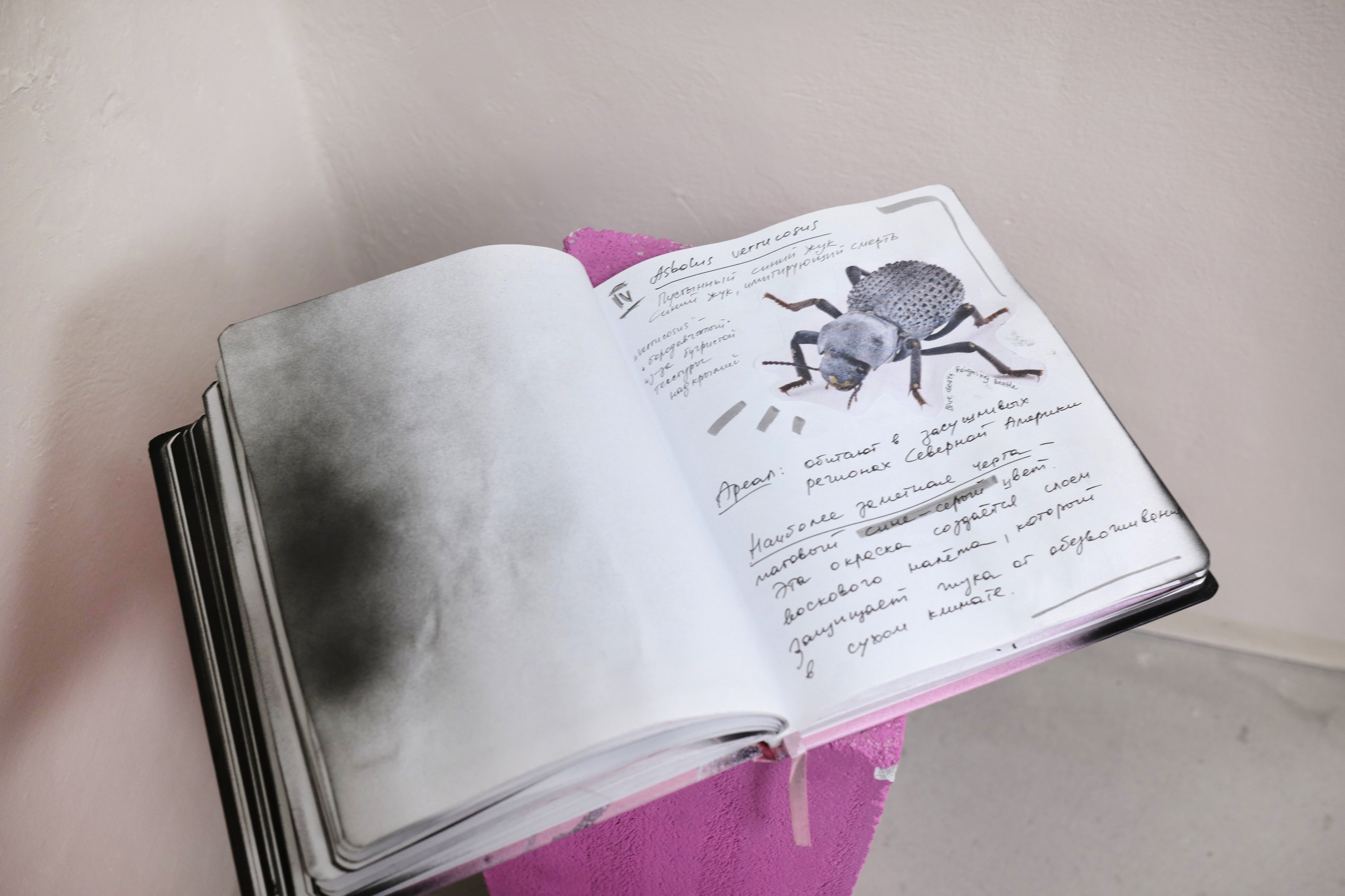 Thanatosis. Artist Anna Snegina Художница Анна Снегина