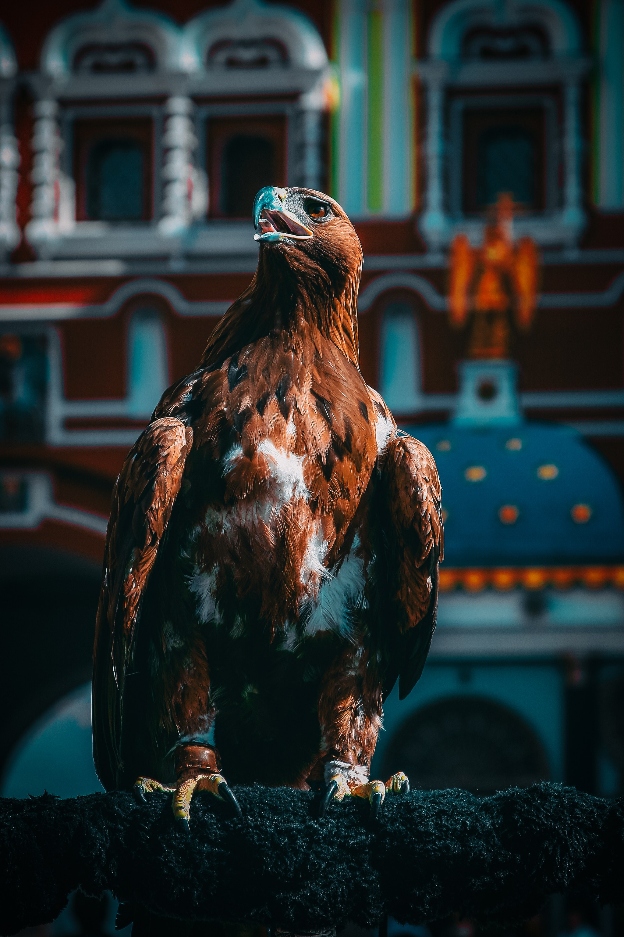 Снимки из прошлого. Фотограф в Москве, Георгий Бучукури