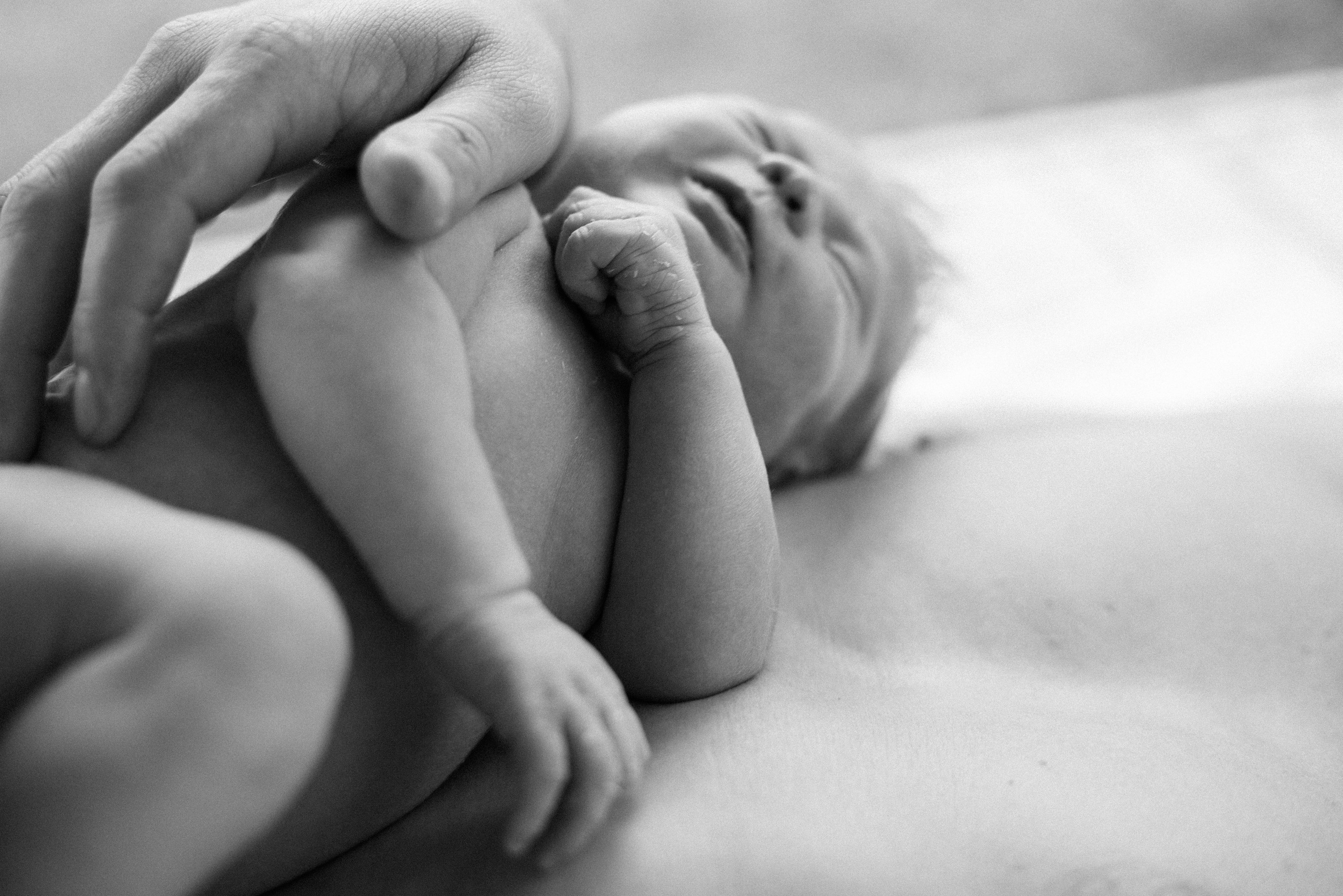 Foto-creator Alisa Zobova