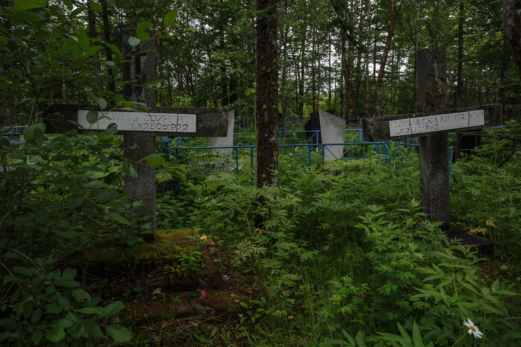 Сахалин, Даниил, Демкин, Даниил Демкин, Daniil, Demkin, Daniil Demkin, Sakhalin