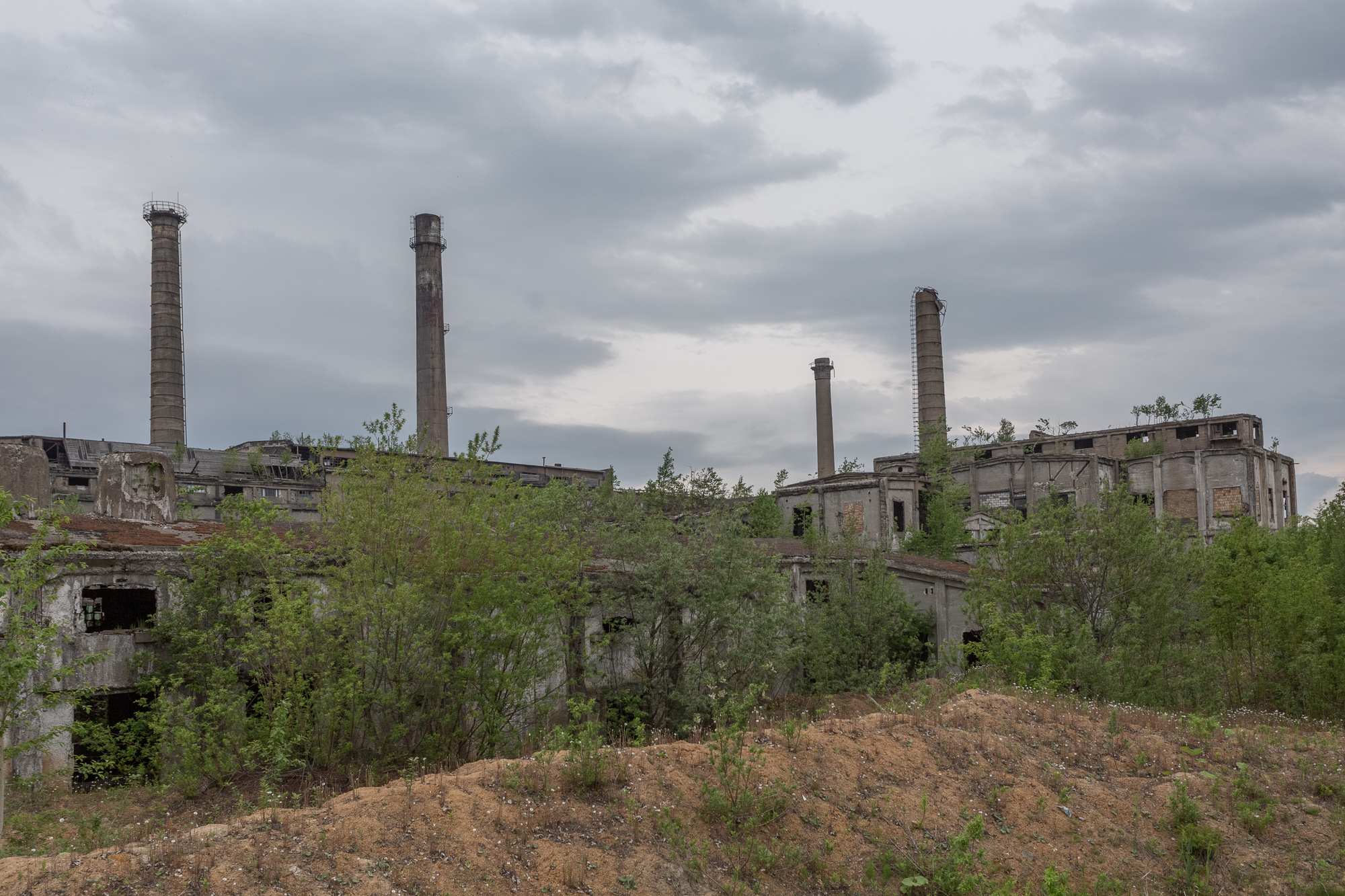 Сахалин, Даниил, Демкин, Даниил Демкин, Daniil, Demkin, Daniil Demkin, Sakhalin