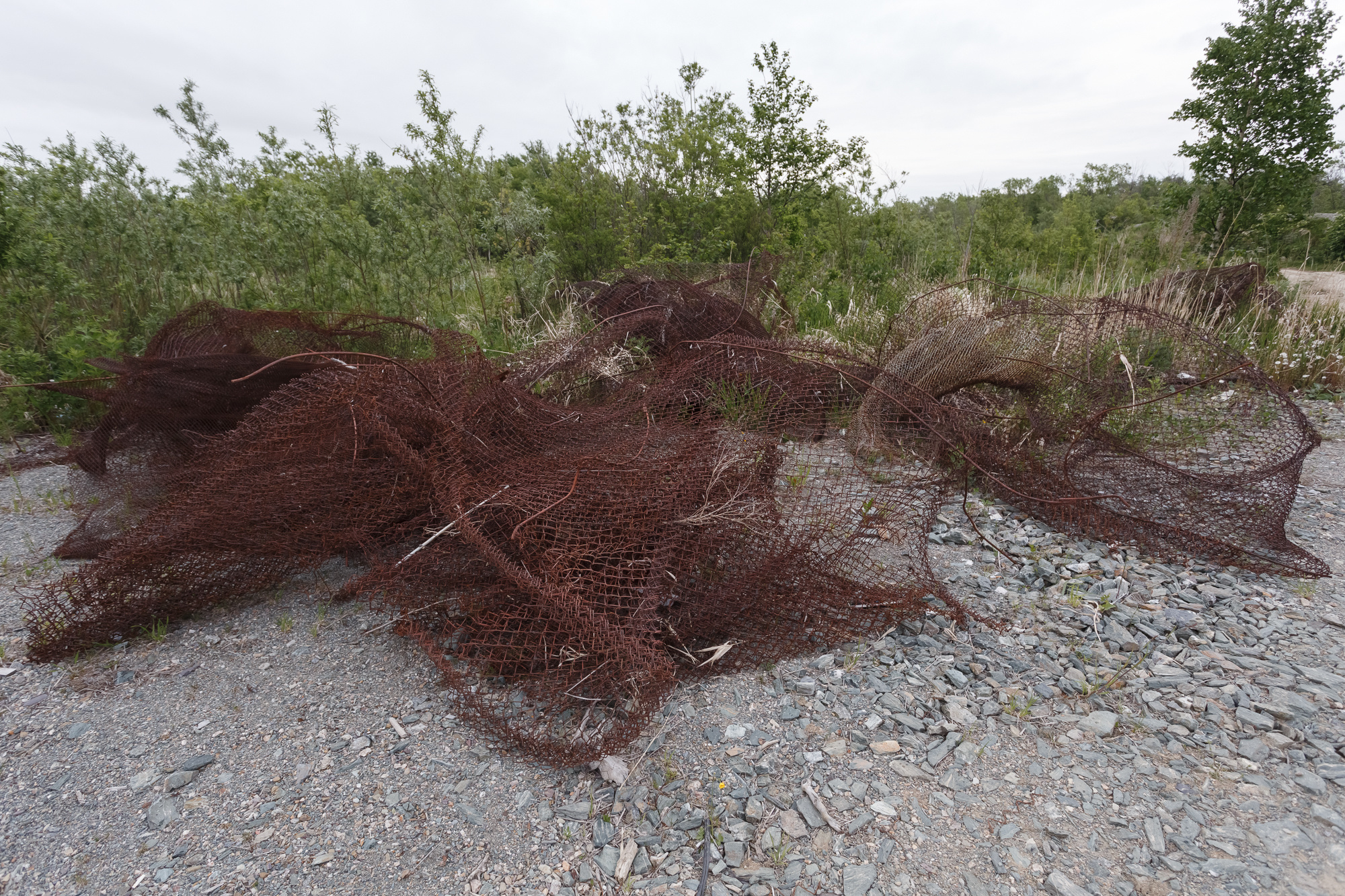 Сахалин, Даниил, Демкин, Даниил Демкин, Daniil, Demkin, Daniil Demkin, Sakhalin