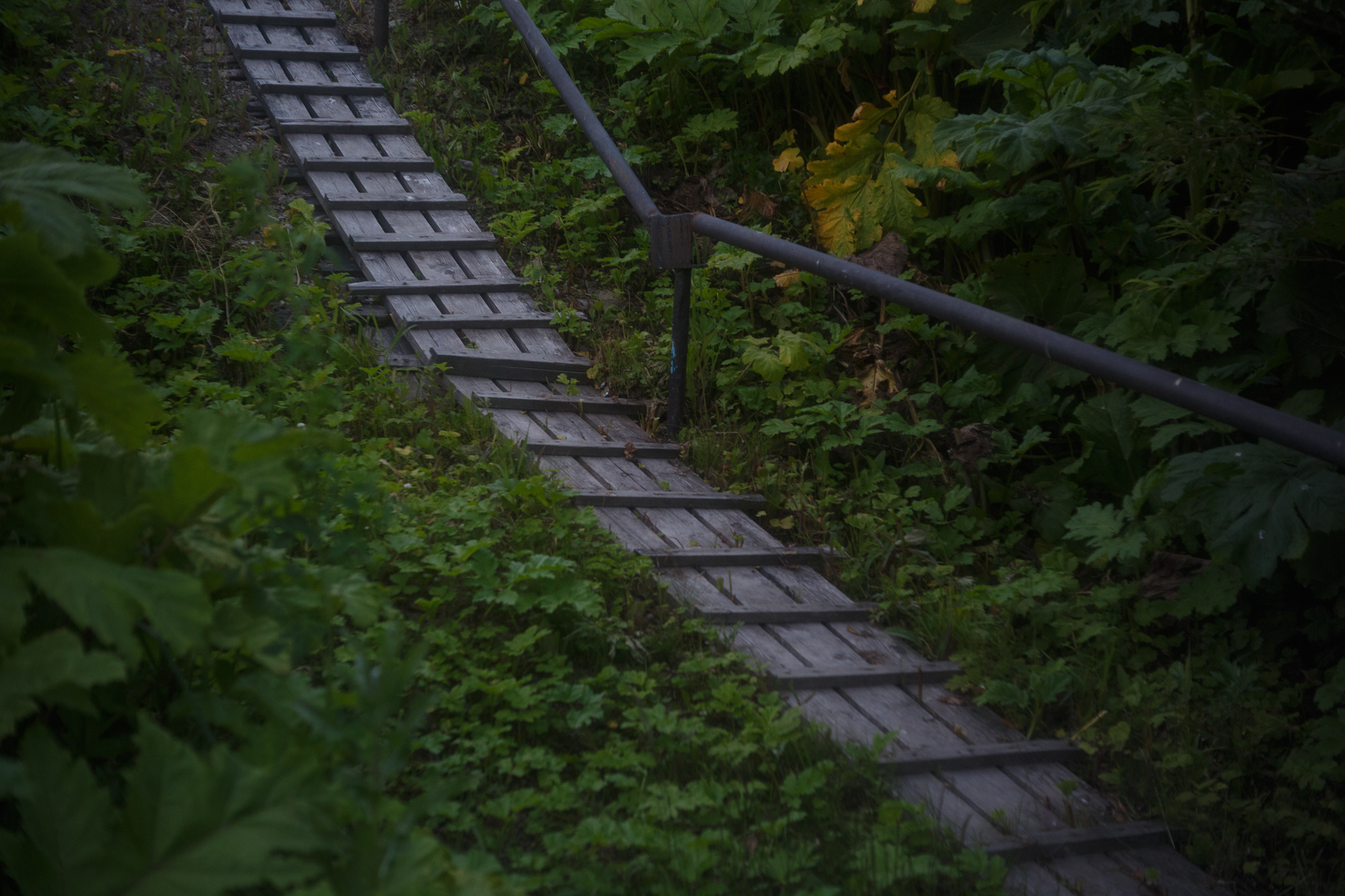 Сахалин, Даниил, Демкин, Даниил Демкин, Daniil, Demkin, Daniil Demkin, Sakhalin