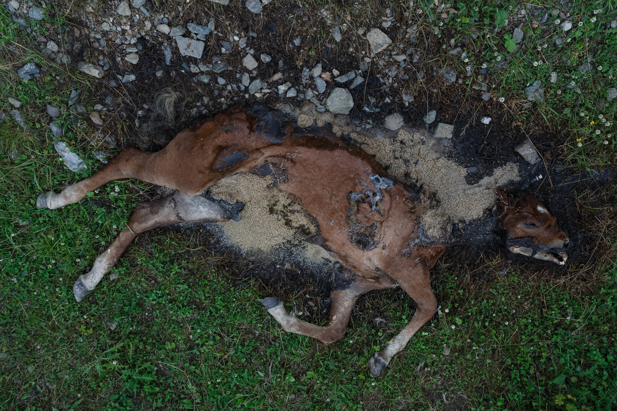 Сахалин, Даниил, Демкин, Даниил Демкин, Daniil, Demkin, Daniil Demkin, Sakhalin
