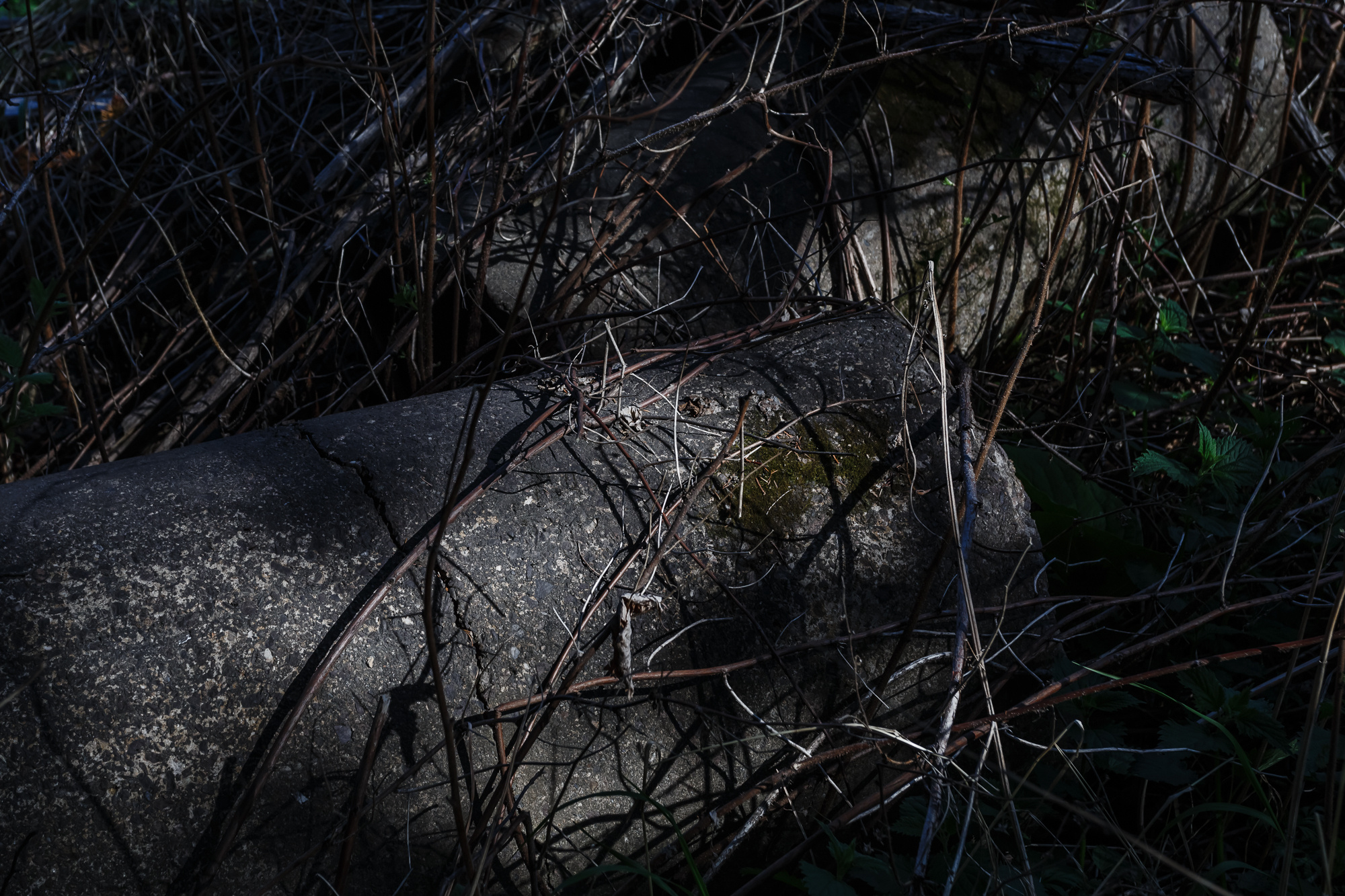 Сахалин, Даниил, Демкин, Даниил Демкин, Daniil, Demkin, Daniil Demkin, Sakhalin