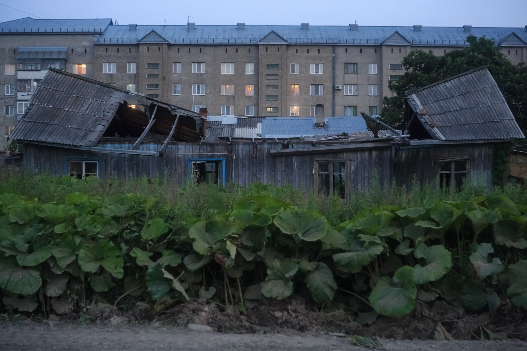 Сахалин, Даниил, Демкин, Даниил Демкин, Daniil, Demkin, Daniil Demkin, Sakhalin