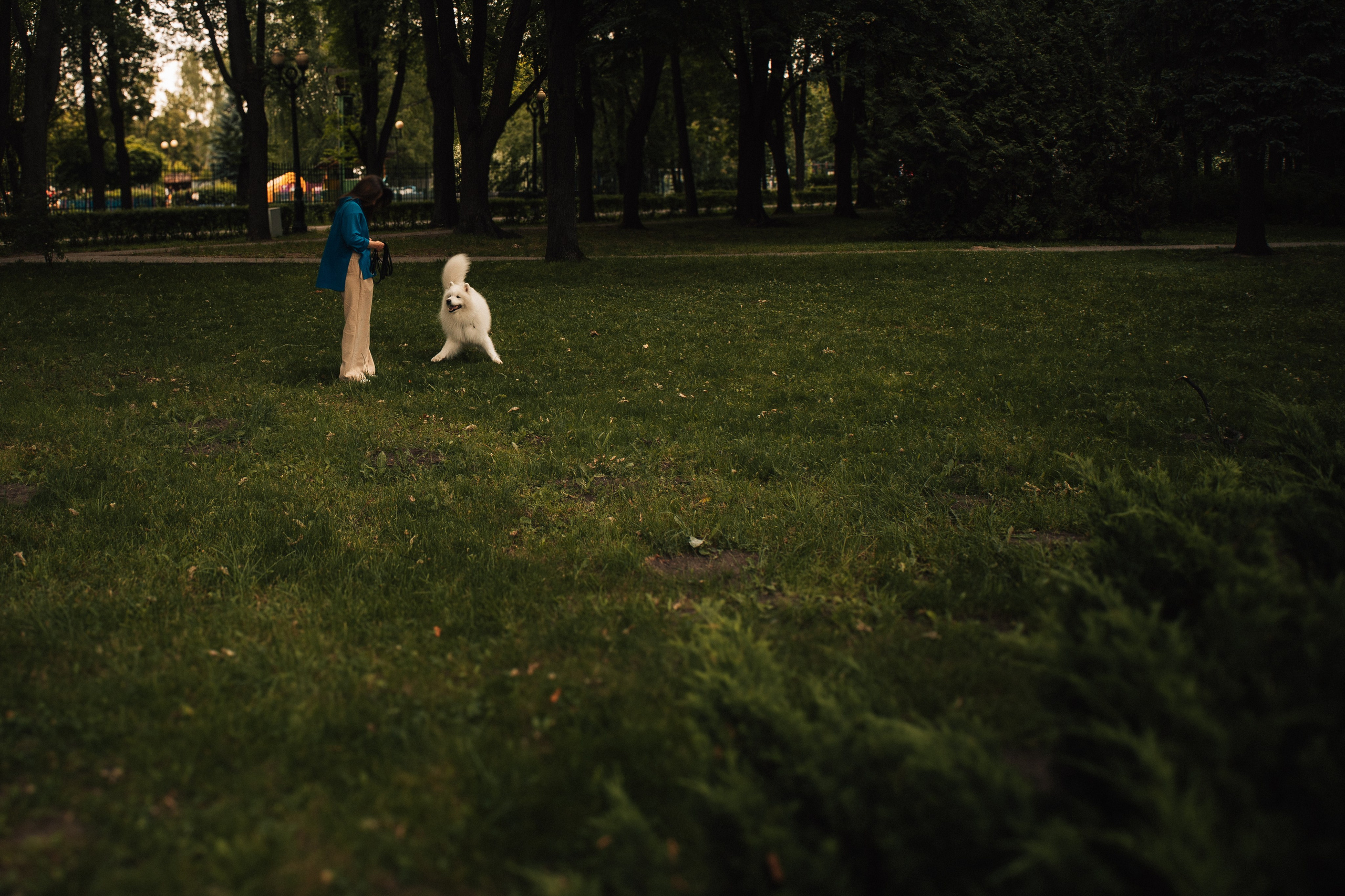 Фотосессия в летнем парке: девушка играет с собакой