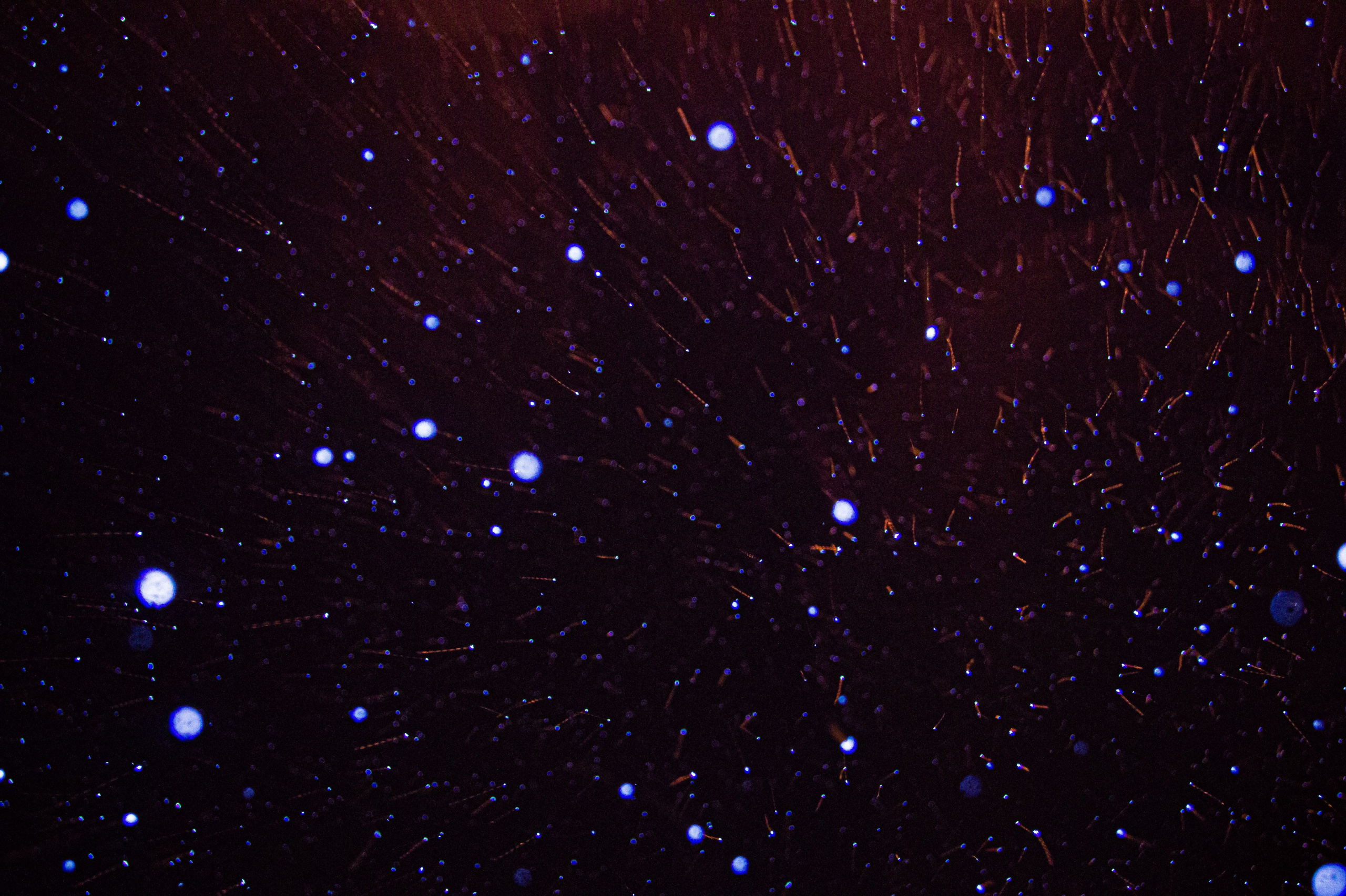 Атмосферная натурная фотография. Любовь Каширская — фотограф для малого бизнеса и специалистов