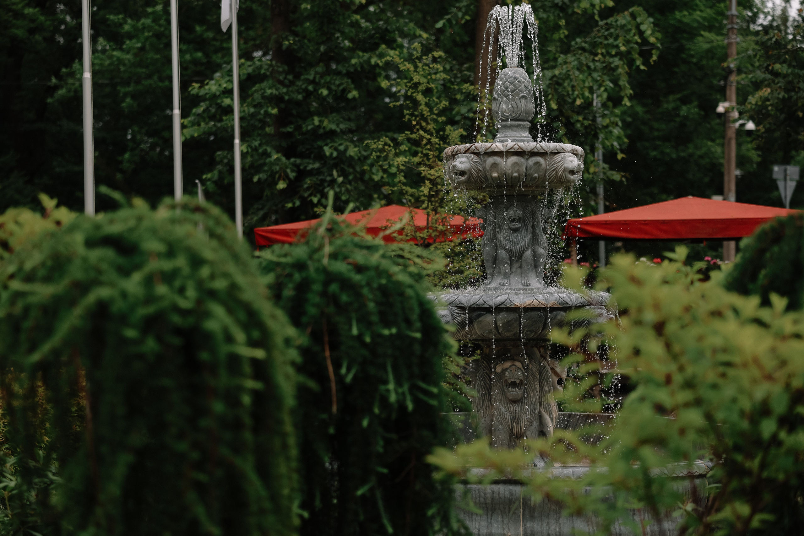 О стильном и душевном…. Свадебный и семейный Фотограф Денис Кошель