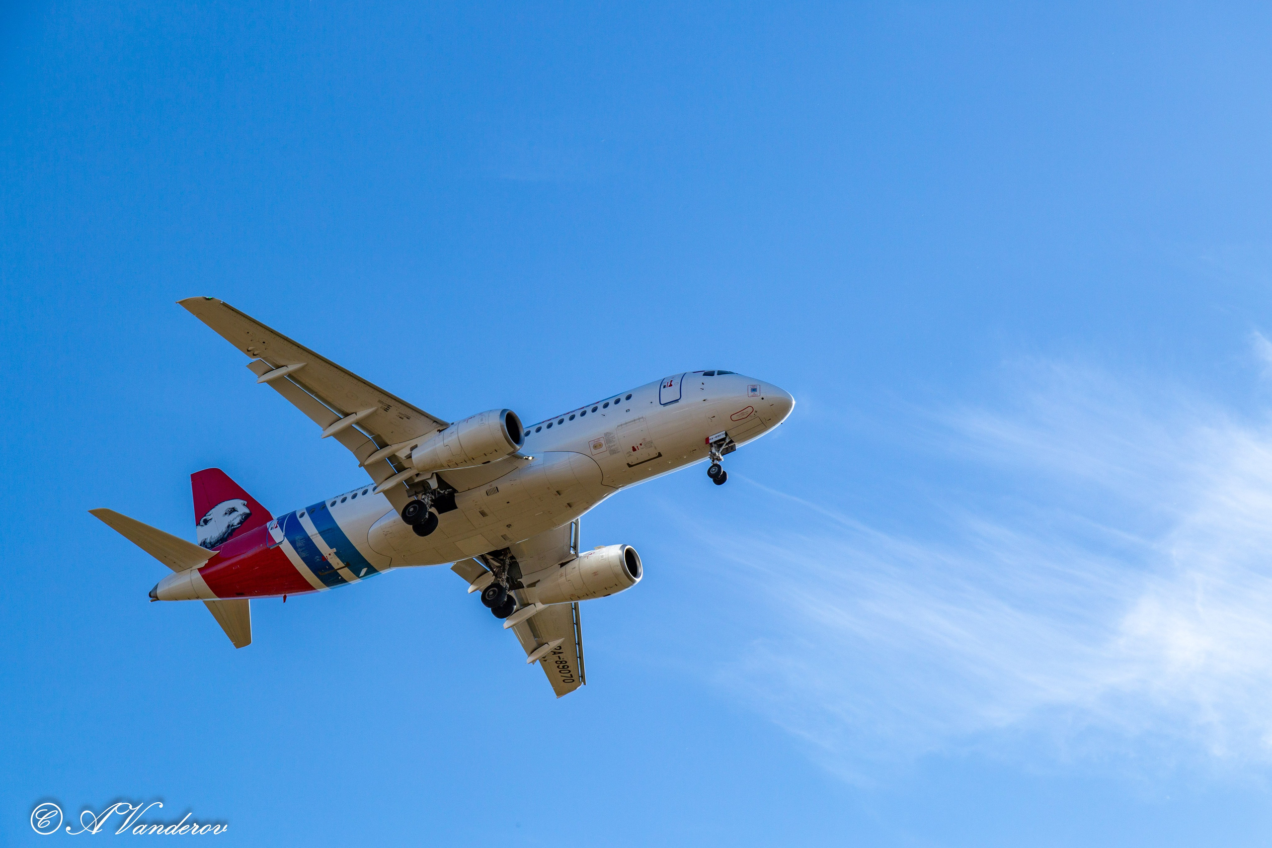 День ходьбы 2024. Фотограф Омск | Александр Вандеров