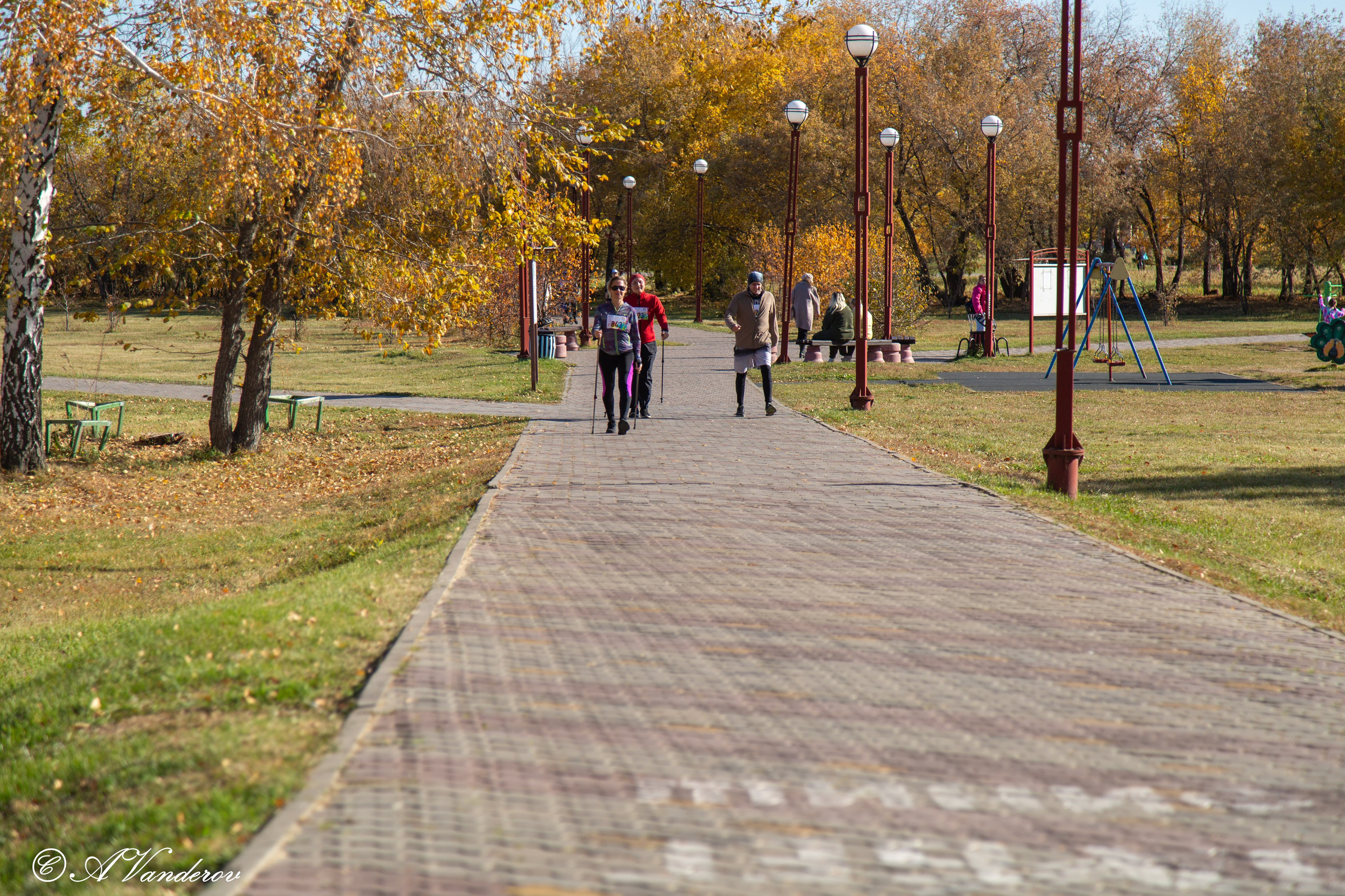 День ходьбы 2024. Фотограф Омск | Александр Вандеров