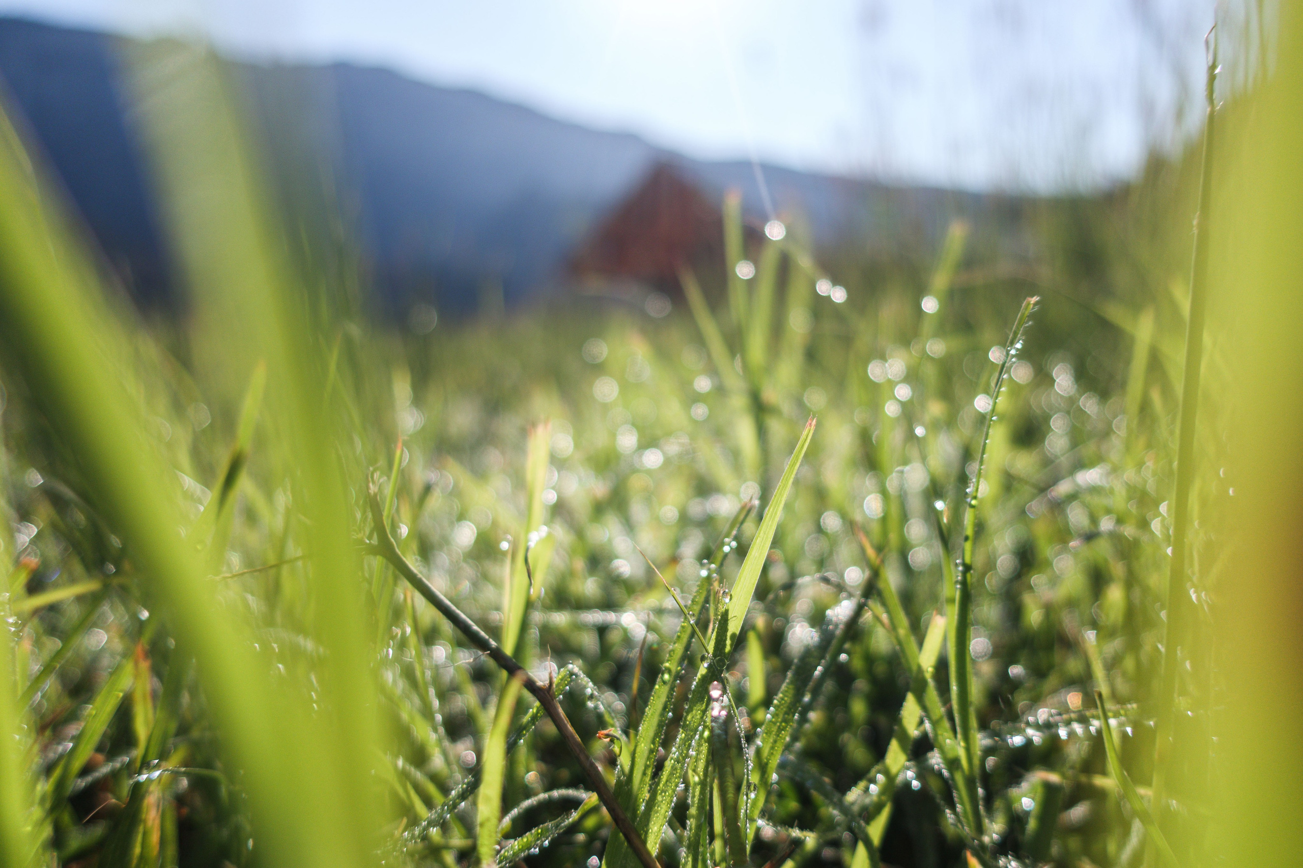 Дагестан 2023. Фотограф Светлана Голицына